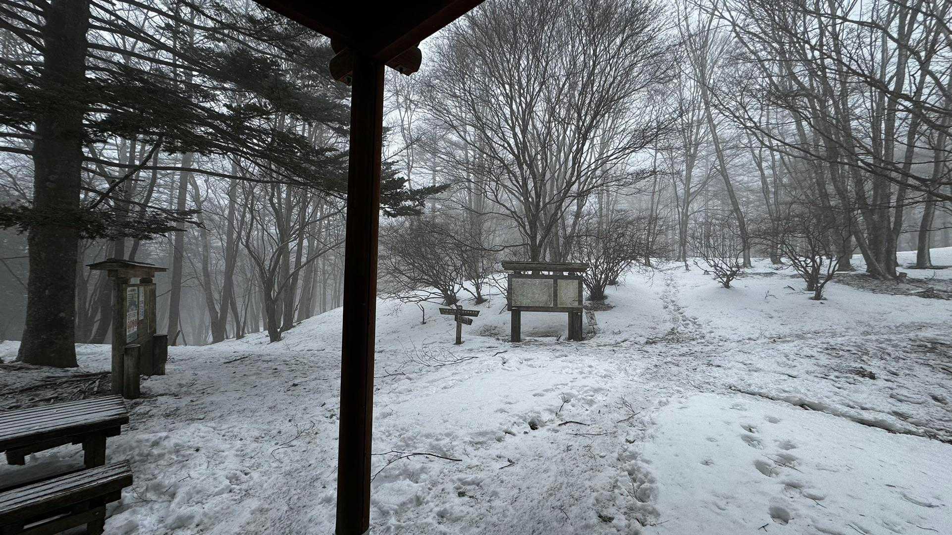 奥多摩、石尾根テン泊縦走（鴨沢〜七ツ石山〜鷹ノ巣山〜六ツ石山〜奥多摩駅） の写真 65