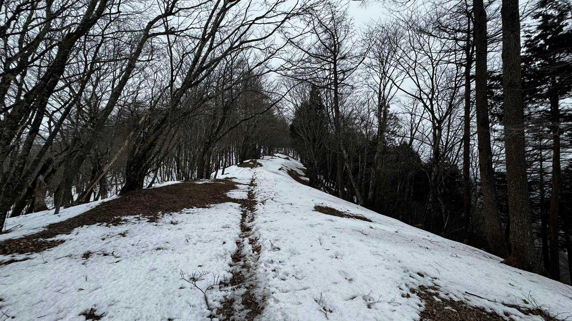 奥多摩、石尾根テン泊縦走（鴨沢〜七ツ石山〜鷹ノ巣山〜六ツ石山〜奥多摩駅） の写真 59