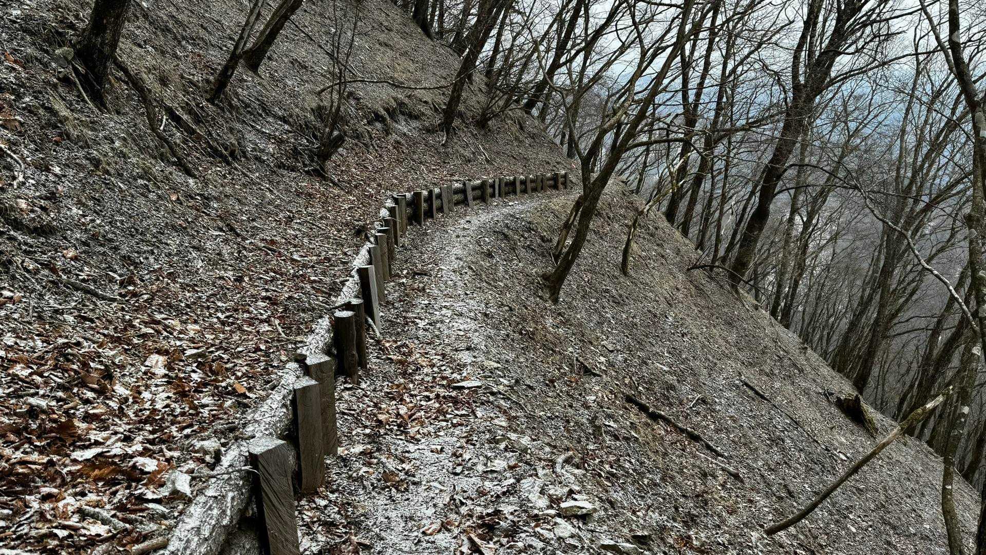 奥多摩、石尾根テン泊縦走（鴨沢〜七ツ石山〜鷹ノ巣山〜六ツ石山〜奥多摩駅） の写真 57