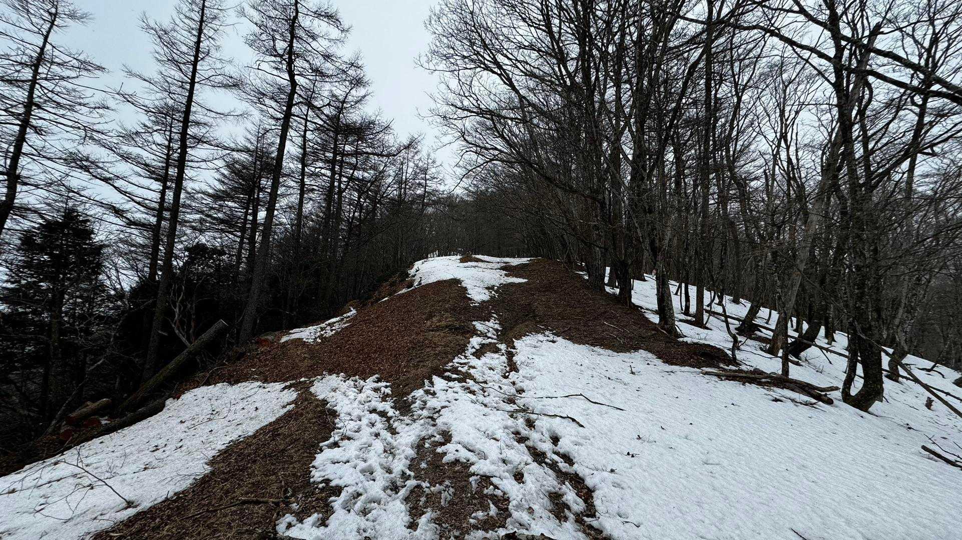 奥多摩、石尾根テン泊縦走（鴨沢〜七ツ石山〜鷹ノ巣山〜六ツ石山〜奥多摩駅） の写真 58