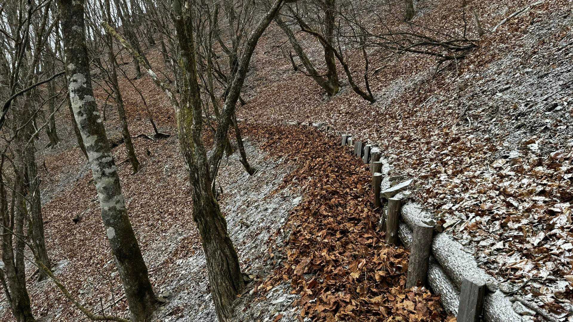 奥多摩、石尾根テン泊縦走（鴨沢〜七ツ石山〜鷹ノ巣山〜六ツ石山〜奥多摩駅） の写真 56