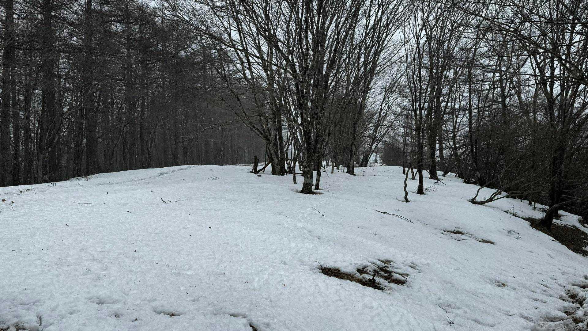 奥多摩、石尾根テン泊縦走（鴨沢〜七ツ石山〜鷹ノ巣山〜六ツ石山〜奥多摩駅） の写真 54