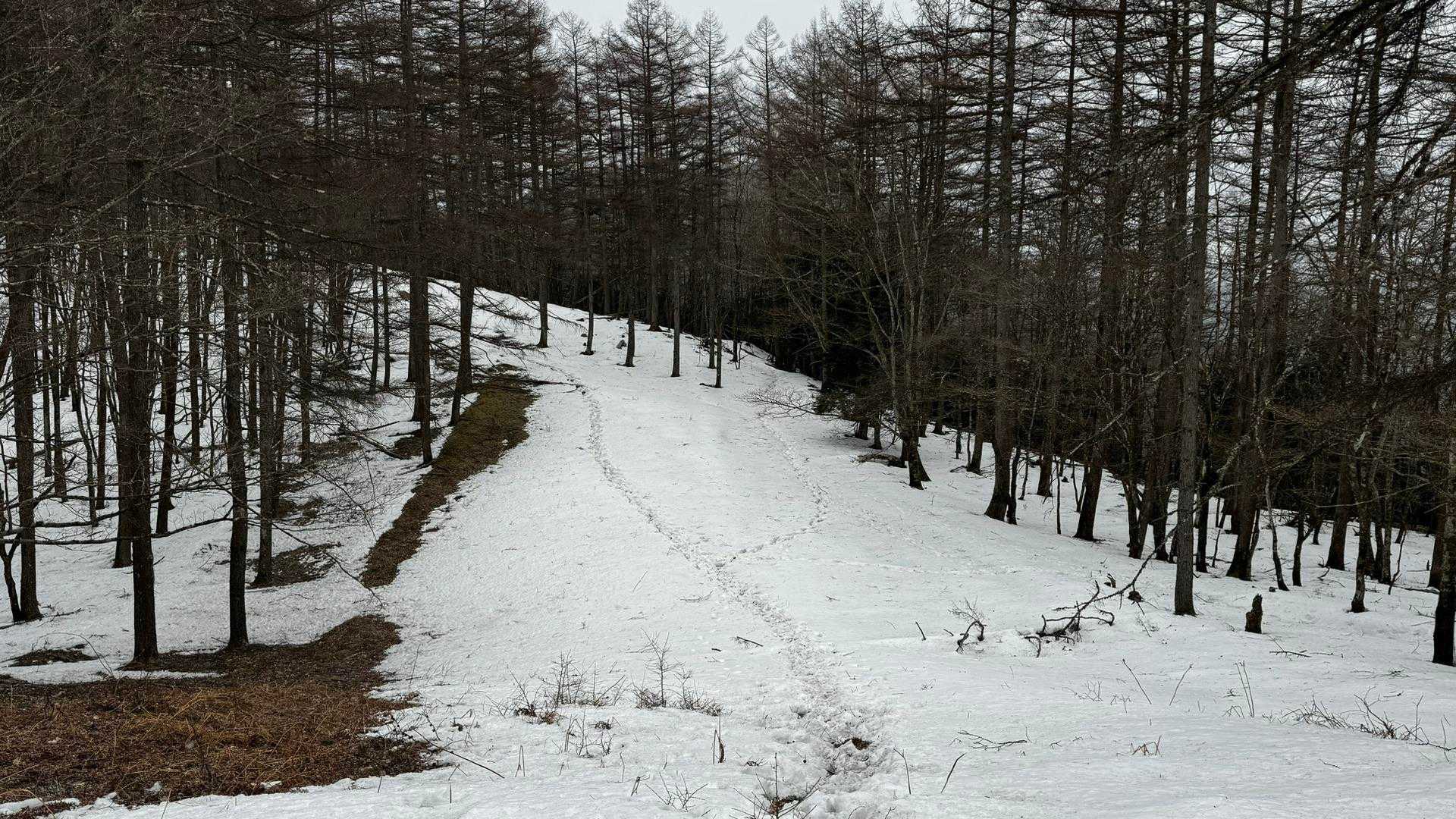 奥多摩、石尾根テン泊縦走（鴨沢〜七ツ石山〜鷹ノ巣山〜六ツ石山〜奥多摩駅） の写真 48