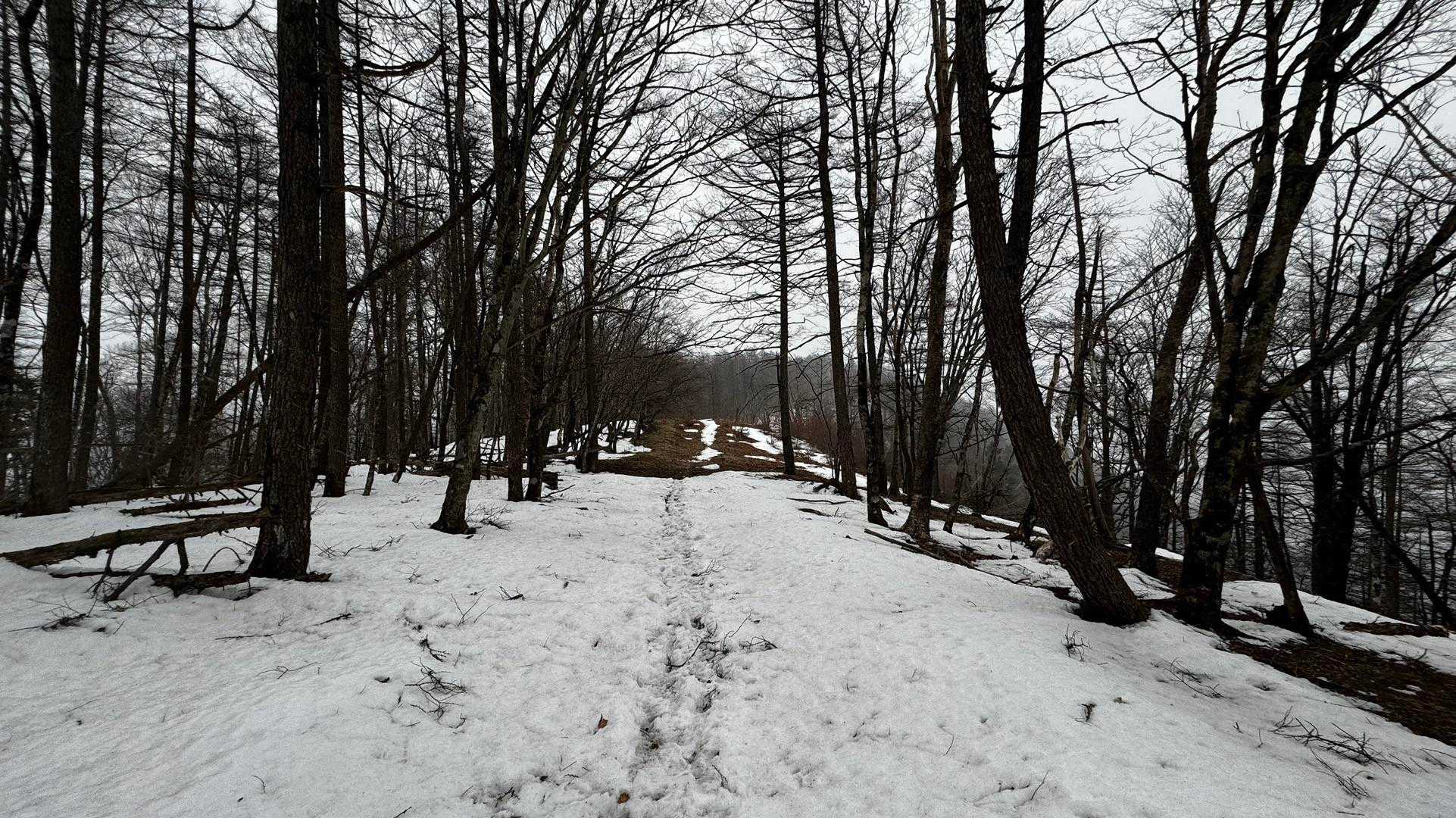 奥多摩、石尾根テン泊縦走（鴨沢〜七ツ石山〜鷹ノ巣山〜六ツ石山〜奥多摩駅） の写真 46