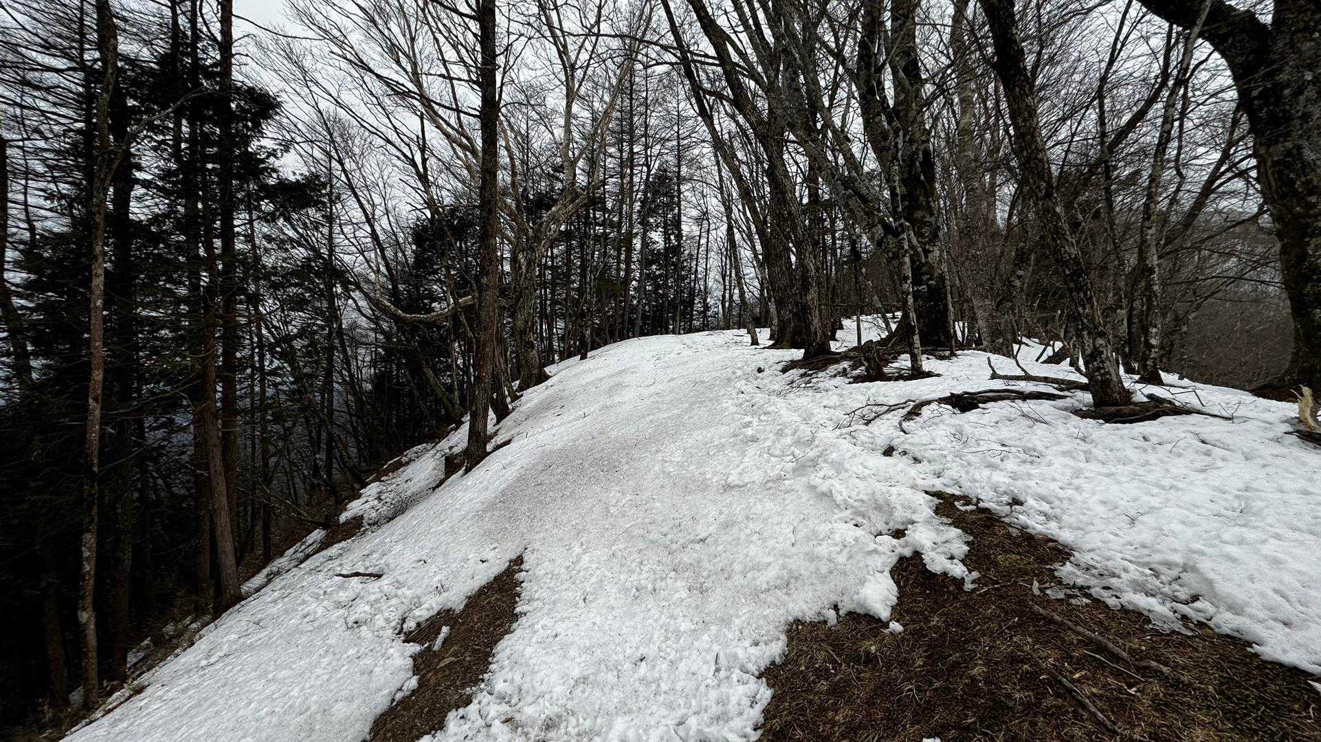 奥多摩、石尾根テン泊縦走（鴨沢〜七ツ石山〜鷹ノ巣山〜六ツ石山〜奥多摩駅） の写真 44