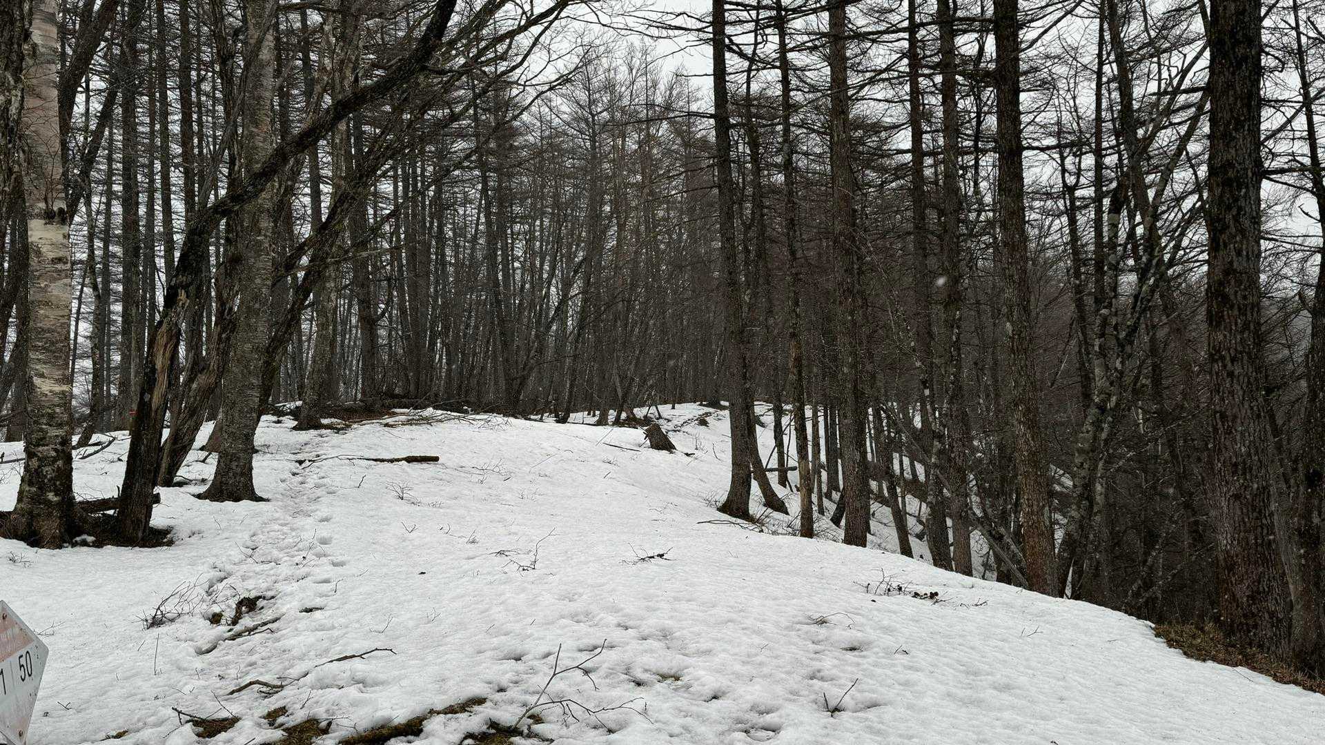 奥多摩、石尾根テン泊縦走（鴨沢〜七ツ石山〜鷹ノ巣山〜六ツ石山〜奥多摩駅） の写真 45