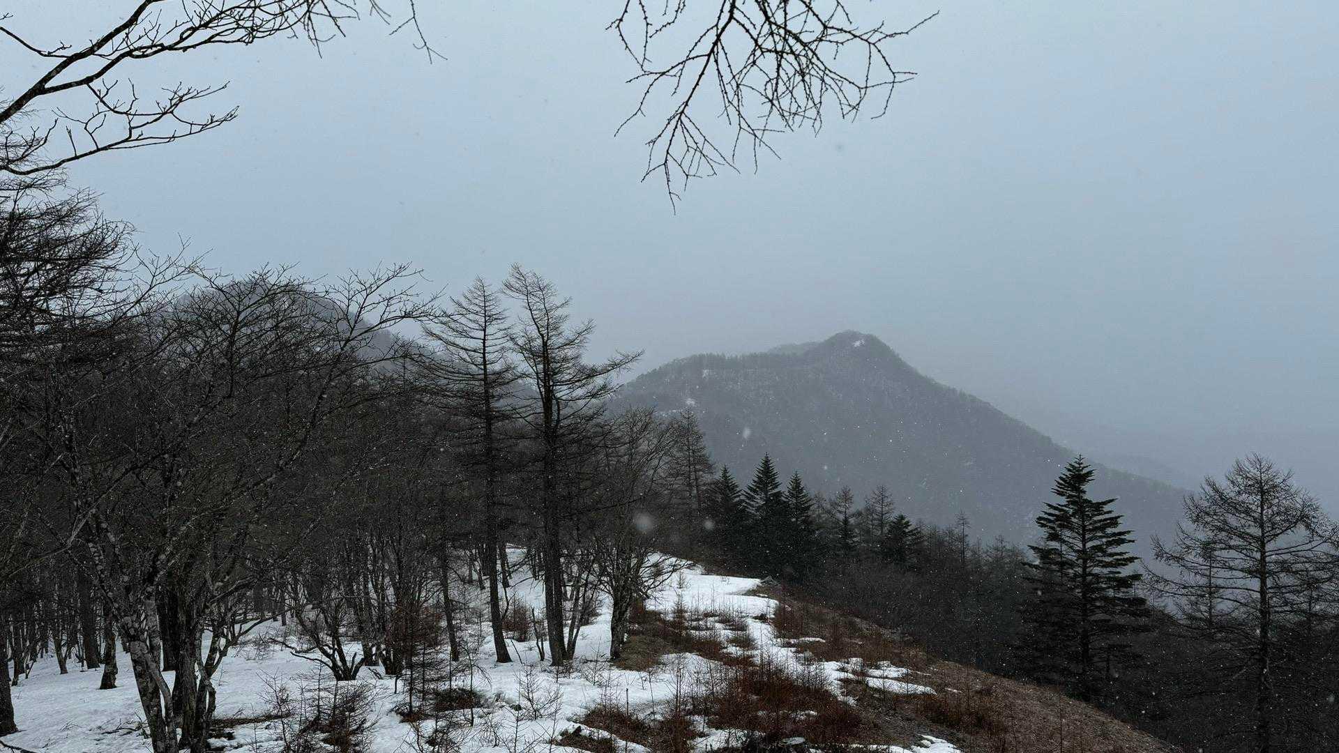 奥多摩、石尾根テン泊縦走（鴨沢〜七ツ石山〜鷹ノ巣山〜六ツ石山〜奥多摩駅） の写真 47