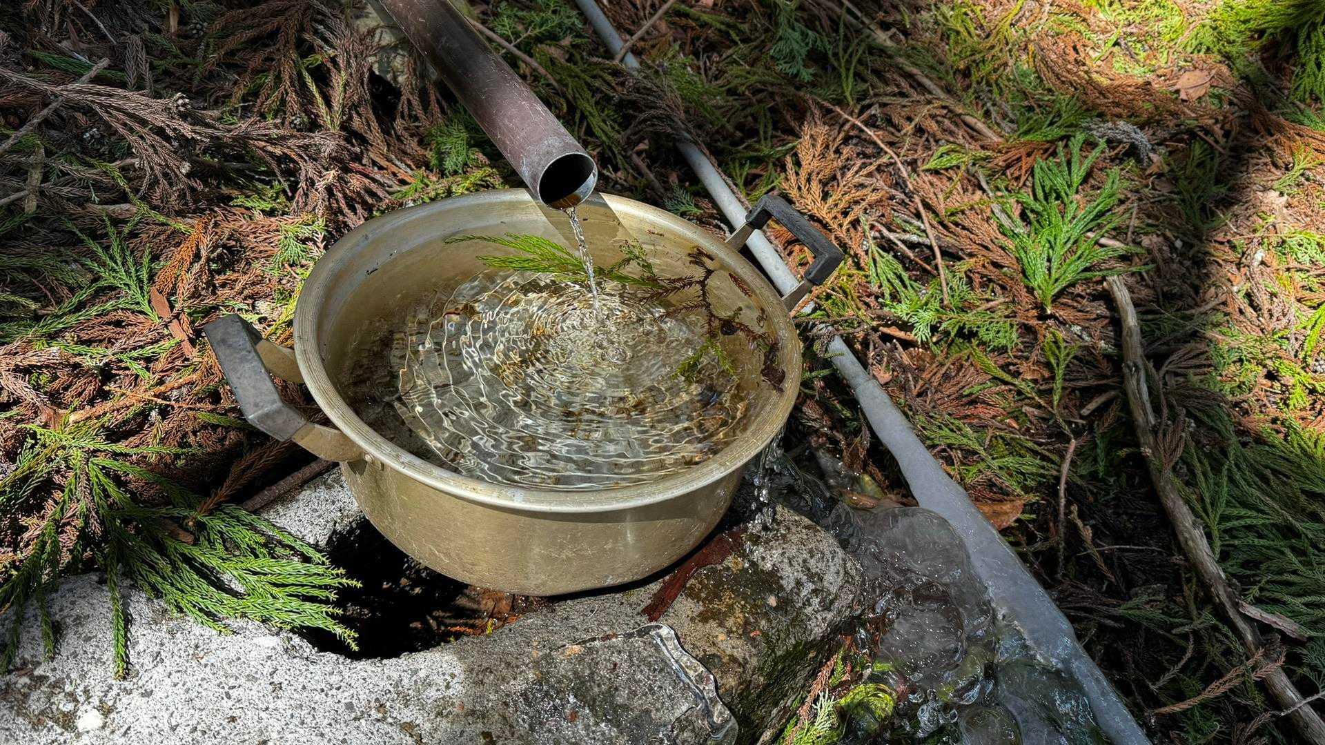 奥多摩、石尾根テン泊縦走（鴨沢〜七ツ石山〜鷹ノ巣山〜六ツ石山〜奥多摩駅） の写真 11