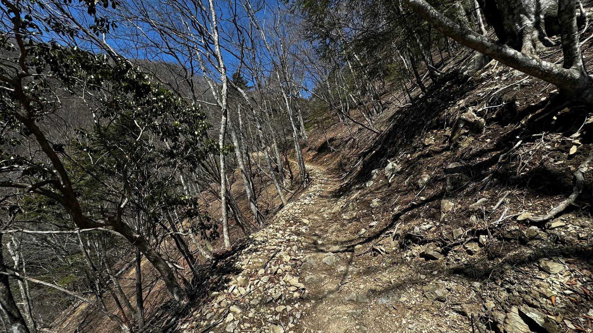 奥多摩、石尾根テン泊縦走（鴨沢〜七ツ石山〜鷹ノ巣山〜六ツ石山〜奥多摩駅） の写真 16