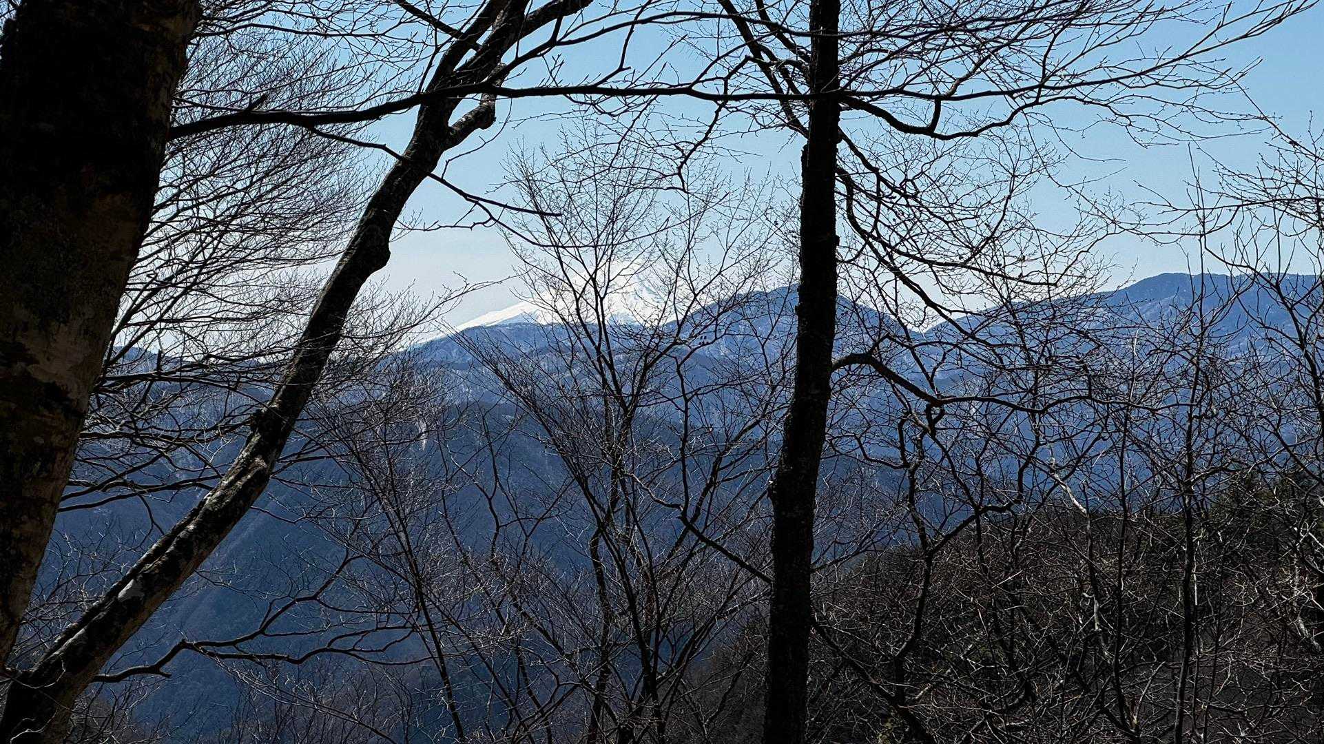 奥多摩、石尾根テン泊縦走（鴨沢〜七ツ石山〜鷹ノ巣山〜六ツ石山〜奥多摩駅） の写真 15