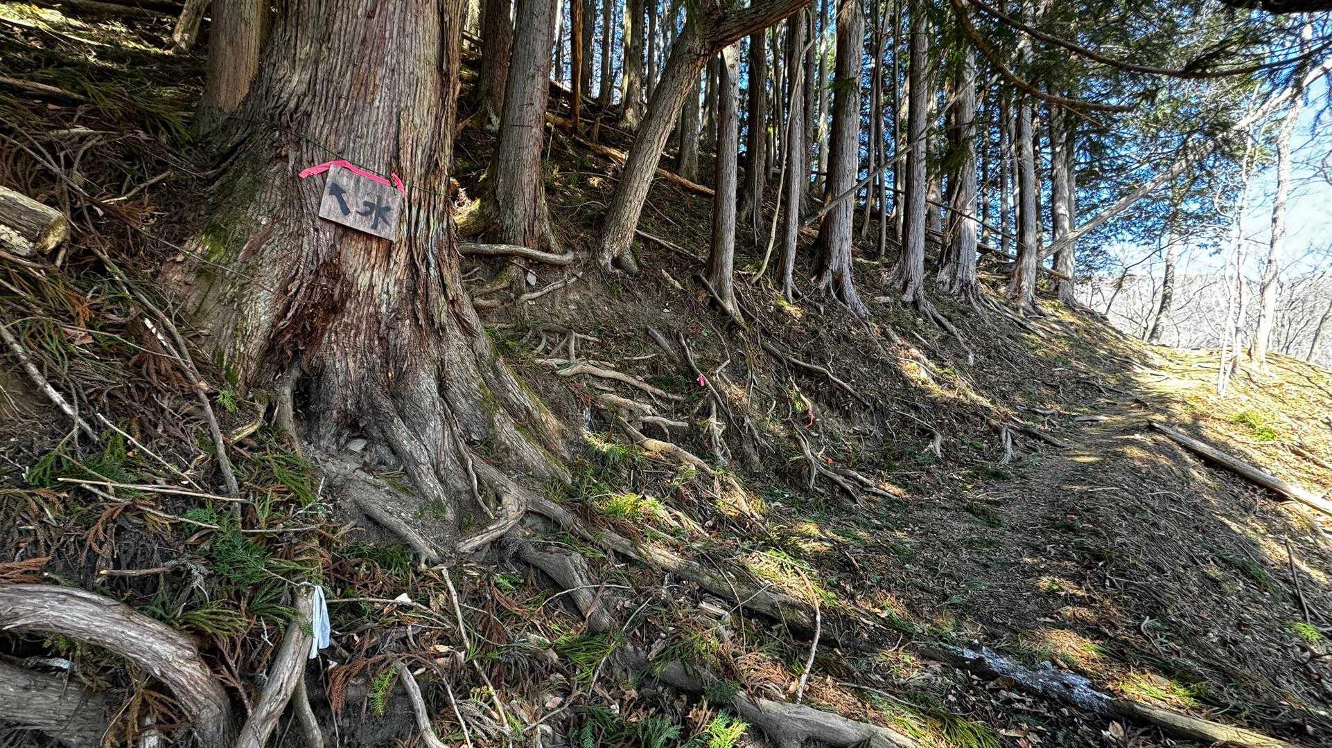 奥多摩、石尾根テン泊縦走（鴨沢〜七ツ石山〜鷹ノ巣山〜六ツ石山〜奥多摩駅） の写真 10