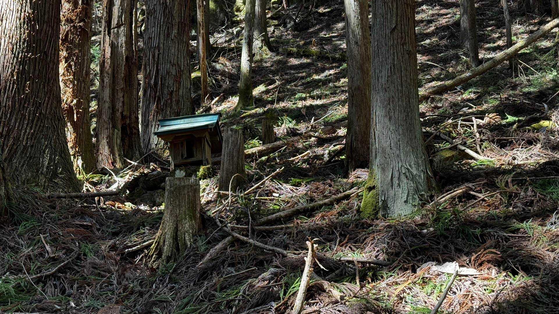 奥多摩、石尾根テン泊縦走（鴨沢〜七ツ石山〜鷹ノ巣山〜六ツ石山〜奥多摩駅） の写真 8