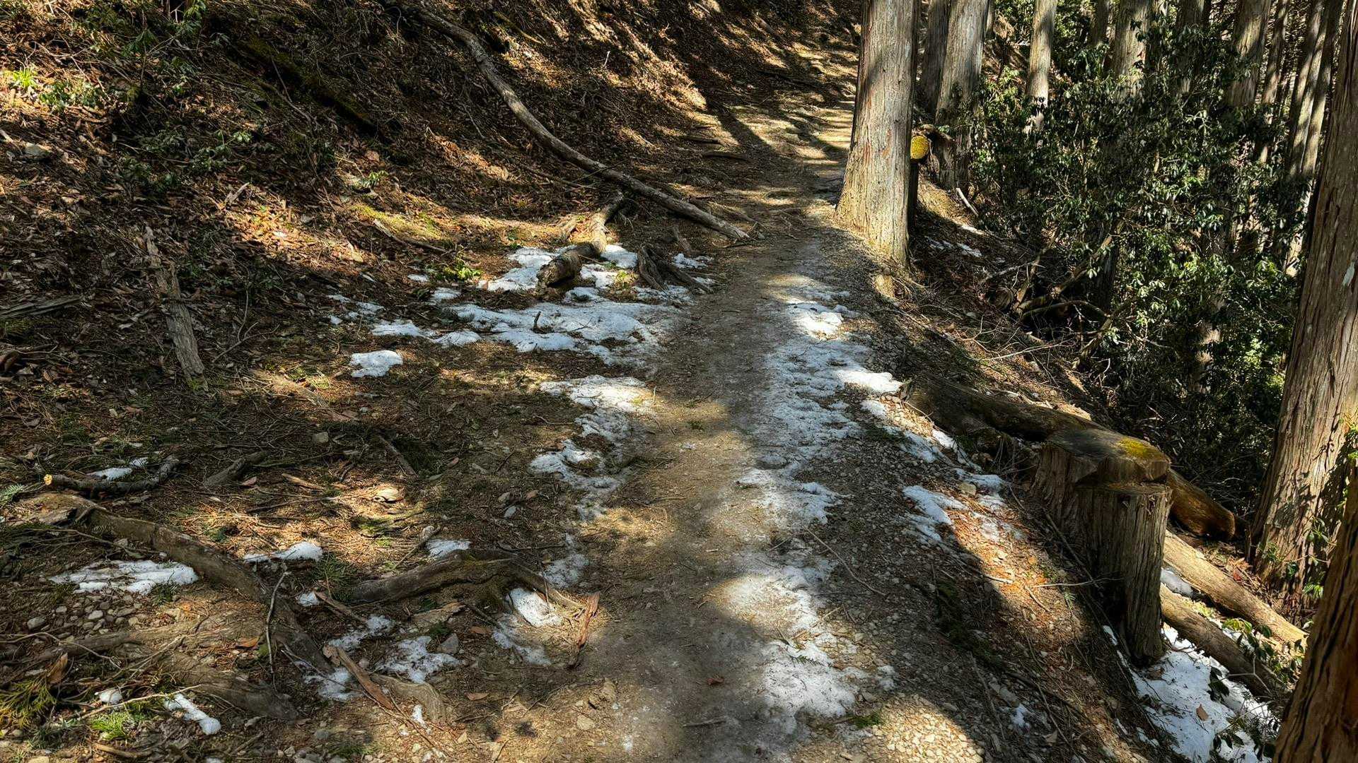 奥多摩、石尾根テン泊縦走（鴨沢〜七ツ石山〜鷹ノ巣山〜六ツ石山〜奥多摩駅） の写真 14
