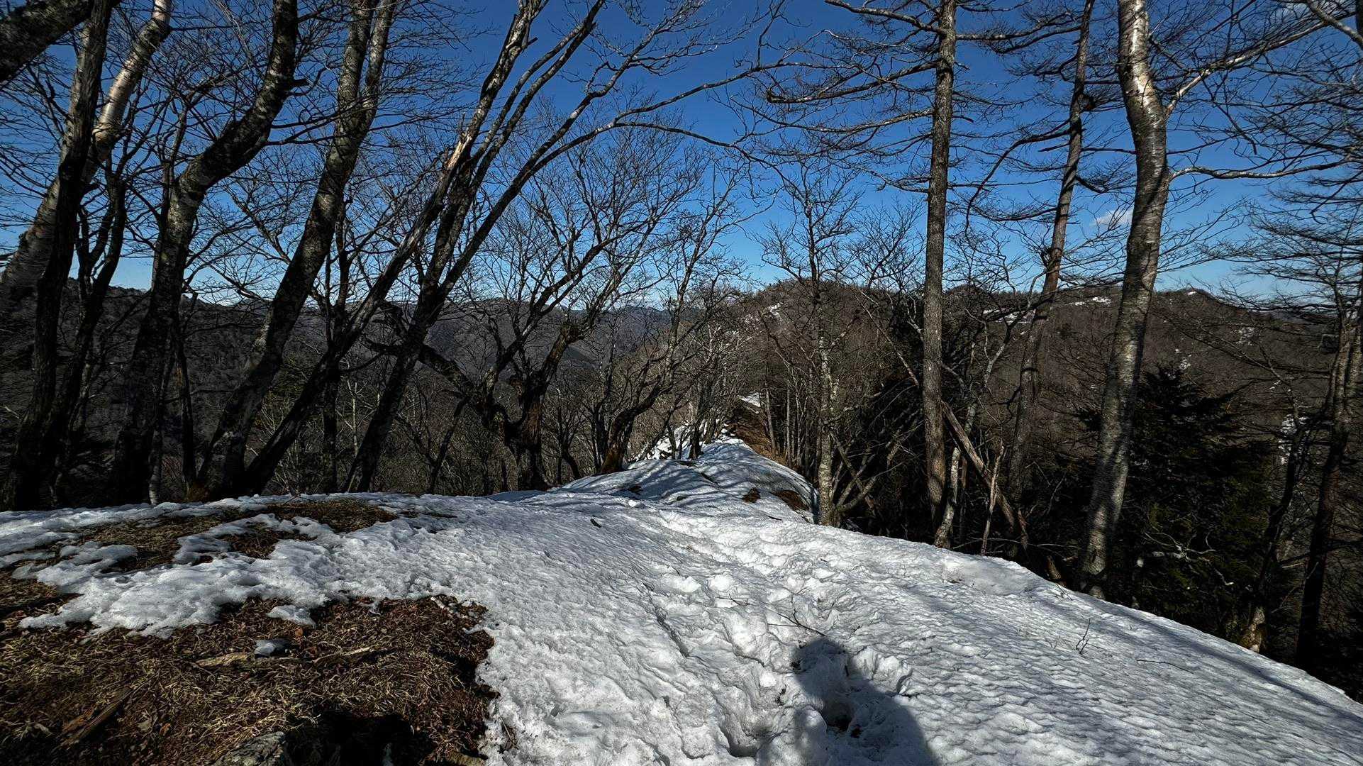 奥多摩、石尾根テン泊縦走（鴨沢〜七ツ石山〜鷹ノ巣山〜六ツ石山〜奥多摩駅） の写真 24