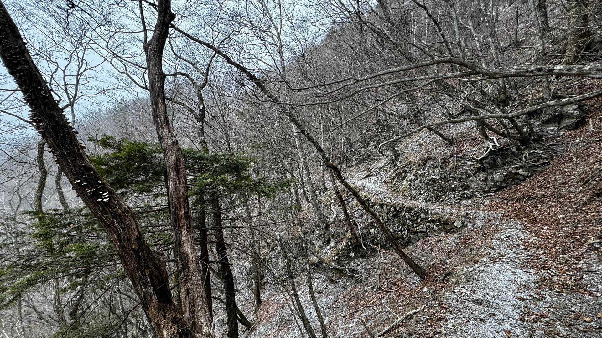 奥多摩、石尾根テン泊縦走（鴨沢〜七ツ石山〜鷹ノ巣山〜六ツ石山〜奥多摩駅） の写真 52