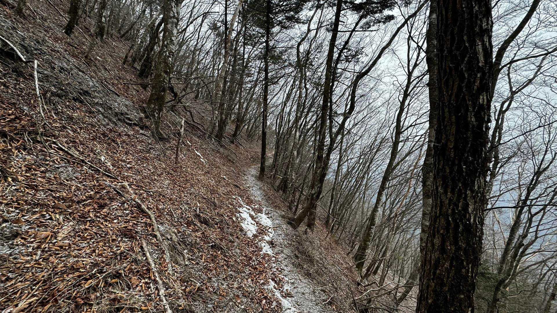 奥多摩、石尾根テン泊縦走（鴨沢〜七ツ石山〜鷹ノ巣山〜六ツ石山〜奥多摩駅） の写真 51