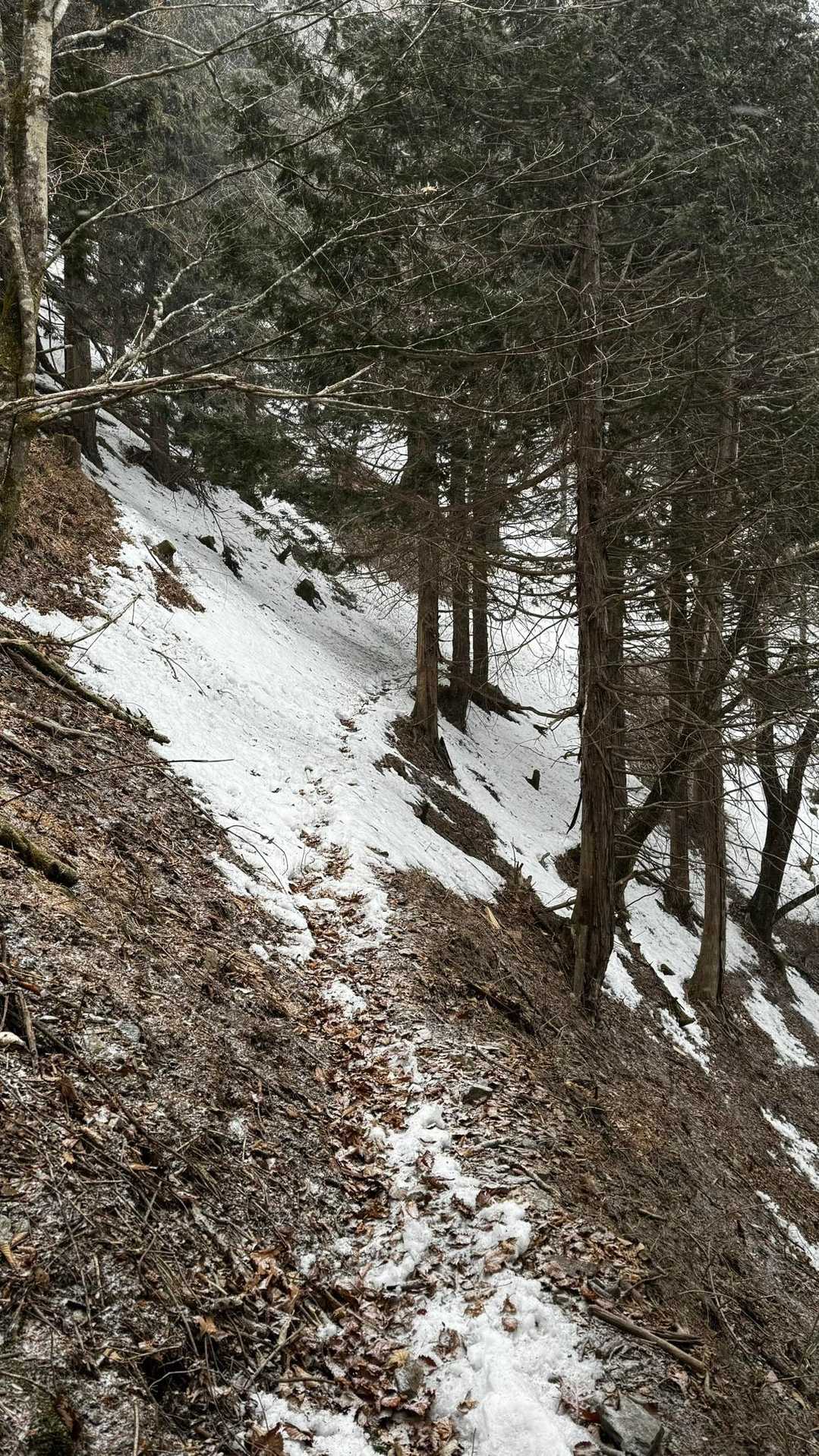 奥多摩、石尾根テン泊縦走（鴨沢〜七ツ石山〜鷹ノ巣山〜六ツ石山〜奥多摩駅） の写真 55