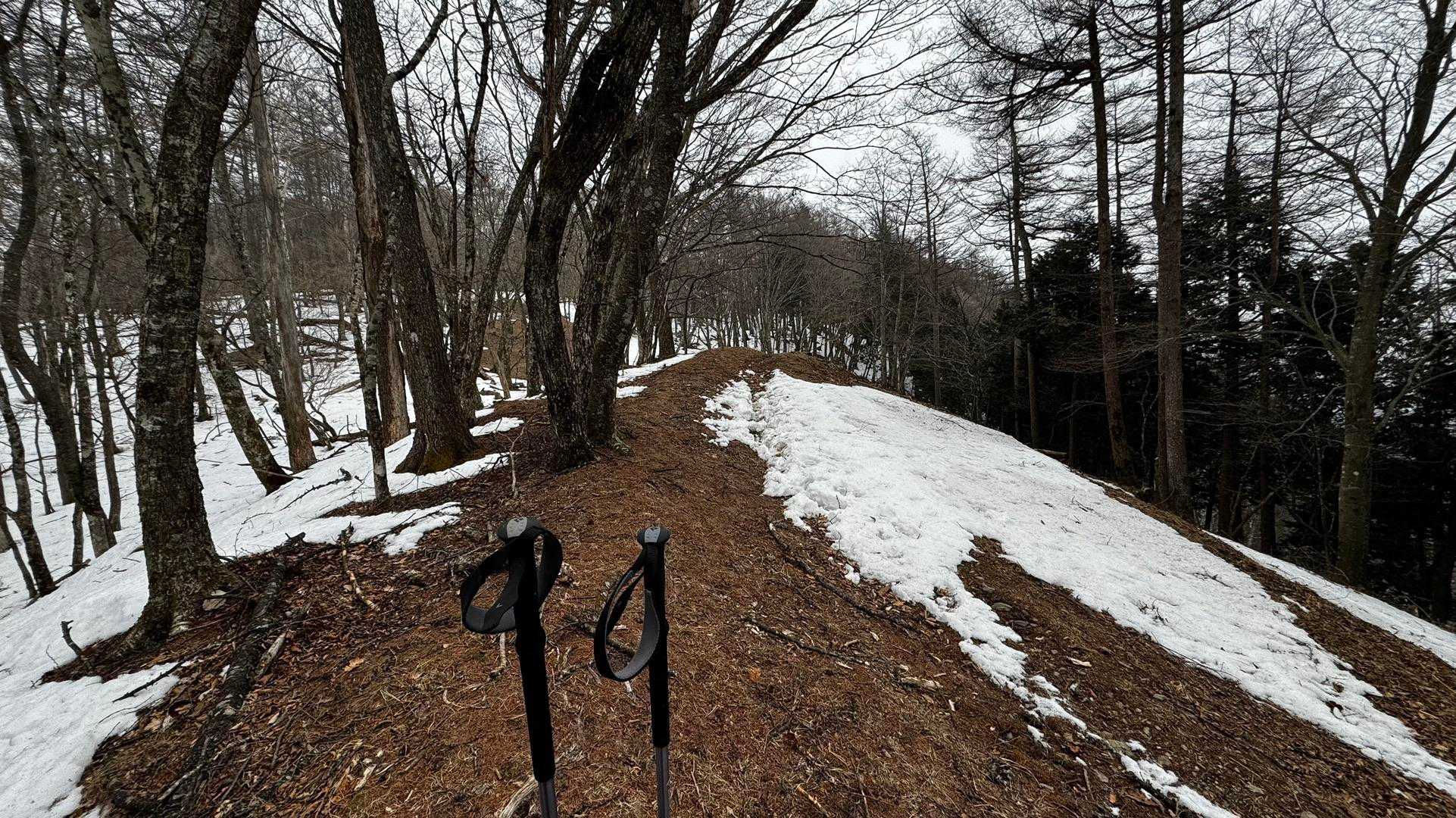 奥多摩、石尾根テン泊縦走（鴨沢〜七ツ石山〜鷹ノ巣山〜六ツ石山〜奥多摩駅） の写真 60