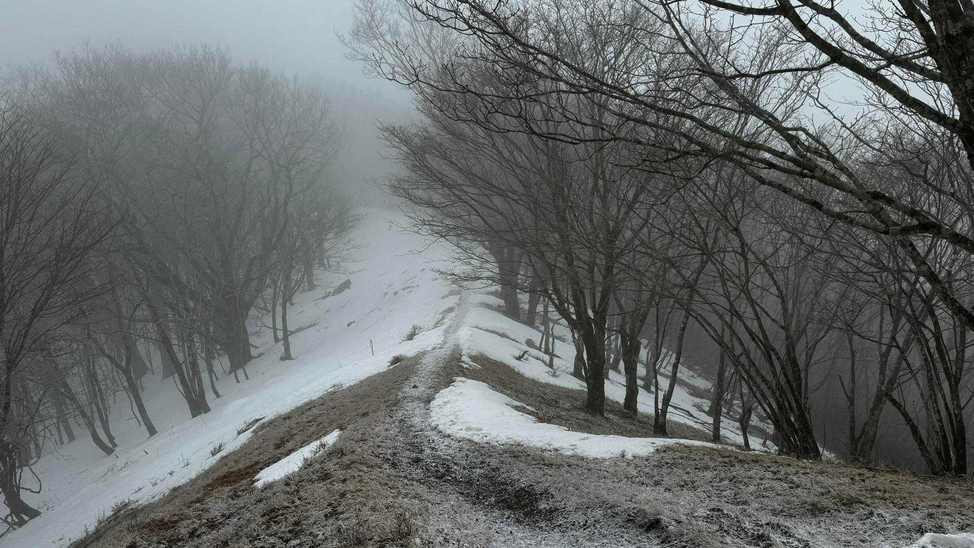 奥多摩、石尾根テン泊縦走（鴨沢〜七ツ石山〜鷹ノ巣山〜六ツ石山〜奥多摩駅） の写真 73
