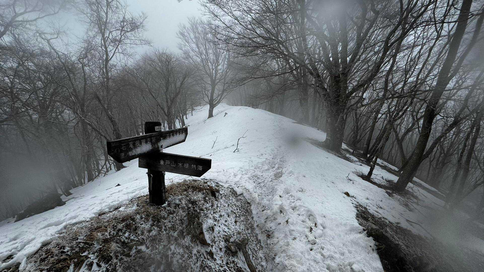 奥多摩、石尾根テン泊縦走（鴨沢〜七ツ石山〜鷹ノ巣山〜六ツ石山〜奥多摩駅） の写真 74