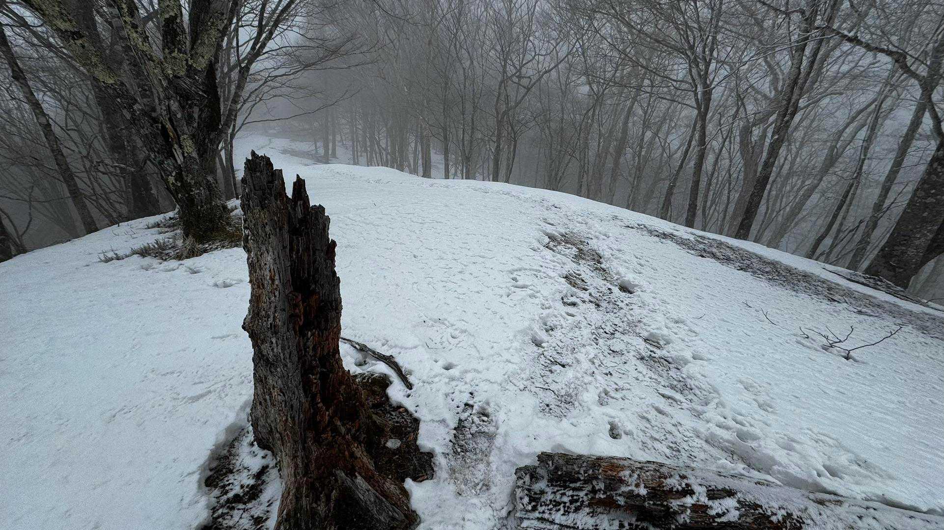奥多摩、石尾根テン泊縦走（鴨沢〜七ツ石山〜鷹ノ巣山〜六ツ石山〜奥多摩駅） の写真 75