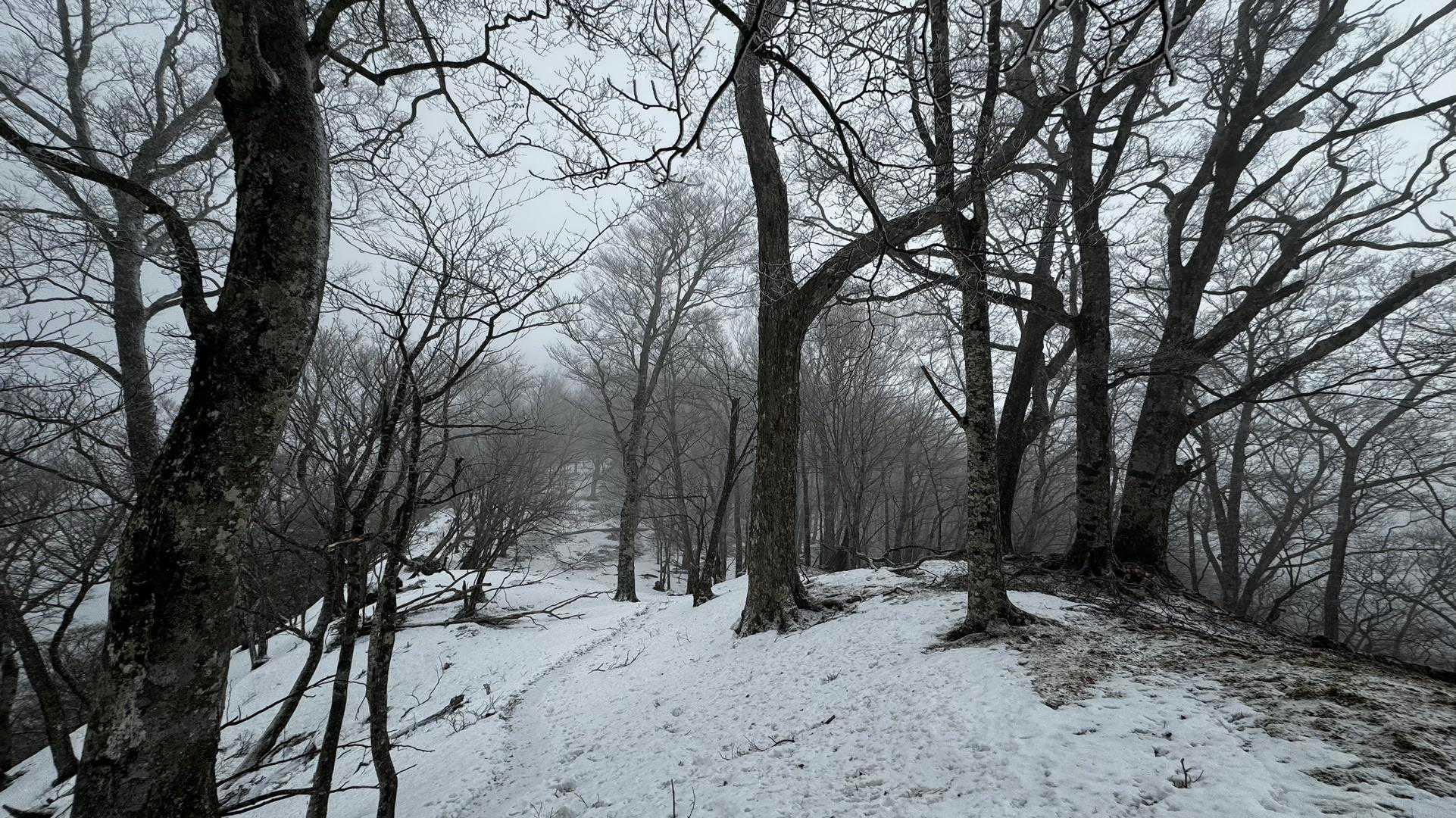奥多摩、石尾根テン泊縦走（鴨沢〜七ツ石山〜鷹ノ巣山〜六ツ石山〜奥多摩駅） の写真 79