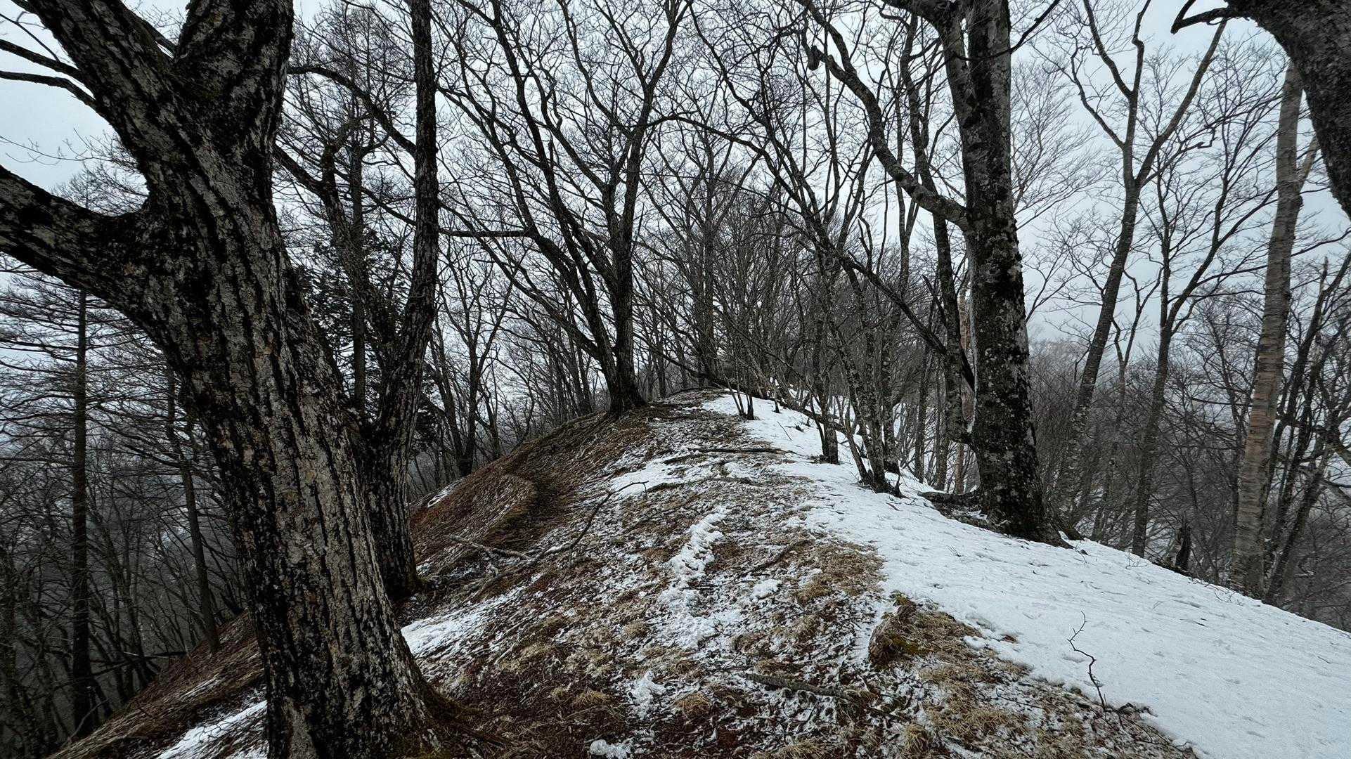 奥多摩、石尾根テン泊縦走（鴨沢〜七ツ石山〜鷹ノ巣山〜六ツ石山〜奥多摩駅） の写真 80