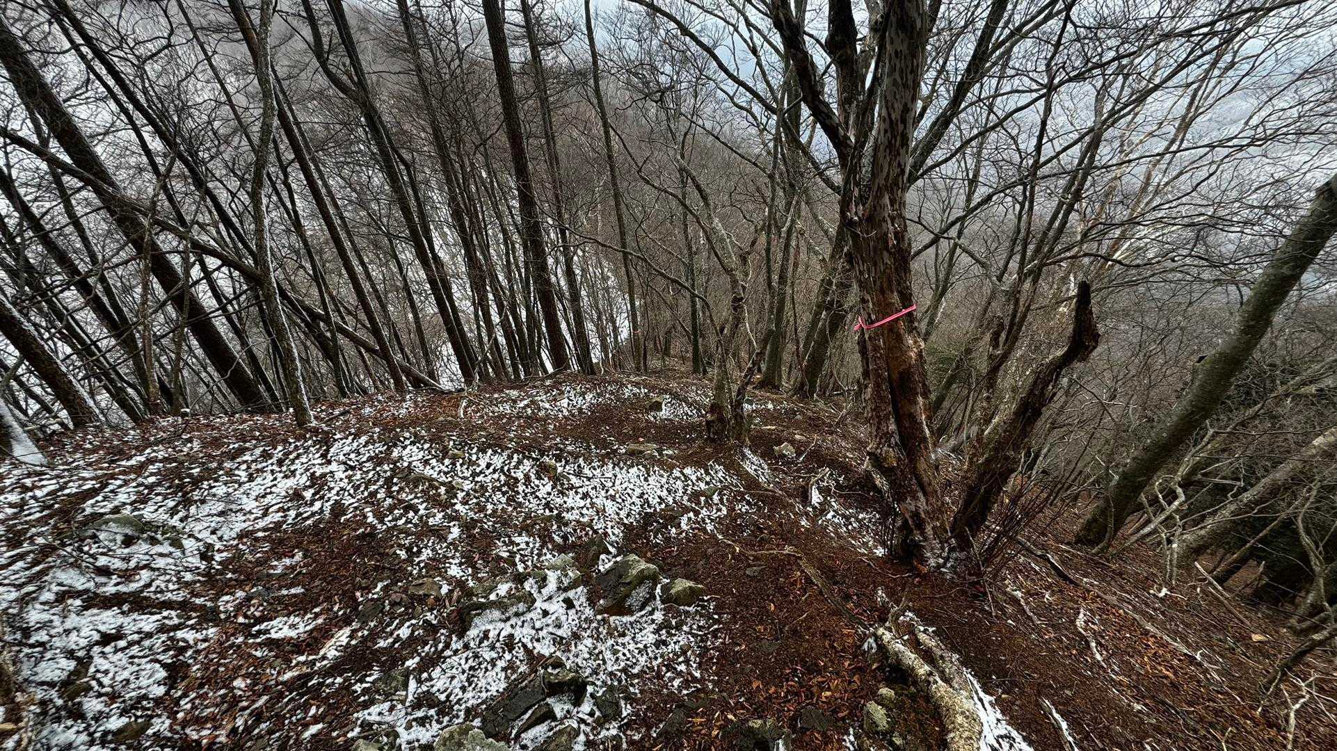 奥多摩、石尾根テン泊縦走（鴨沢〜七ツ石山〜鷹ノ巣山〜六ツ石山〜奥多摩駅） の写真 81