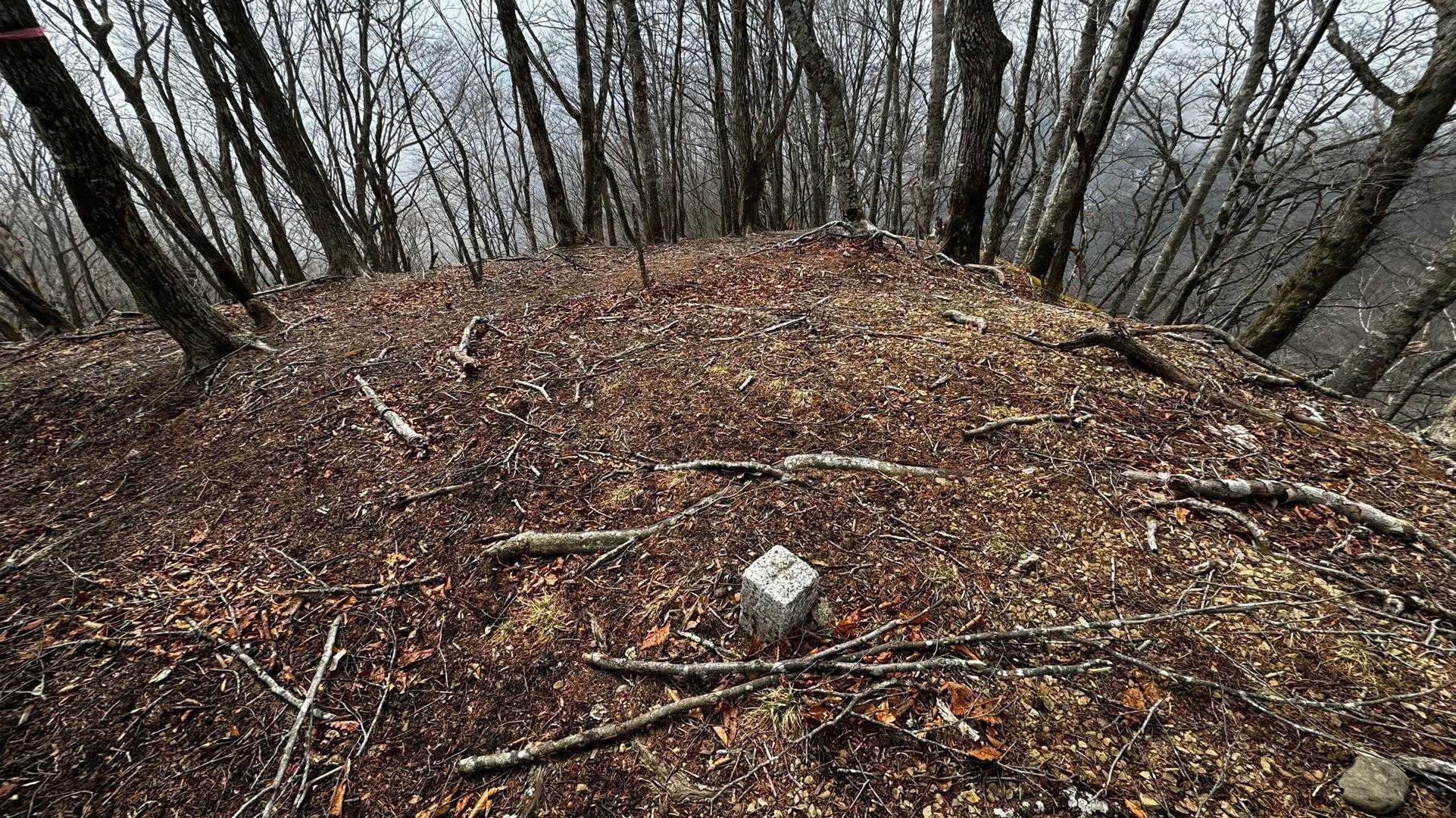 奥多摩、石尾根テン泊縦走（鴨沢〜七ツ石山〜鷹ノ巣山〜六ツ石山〜奥多摩駅） の写真 83