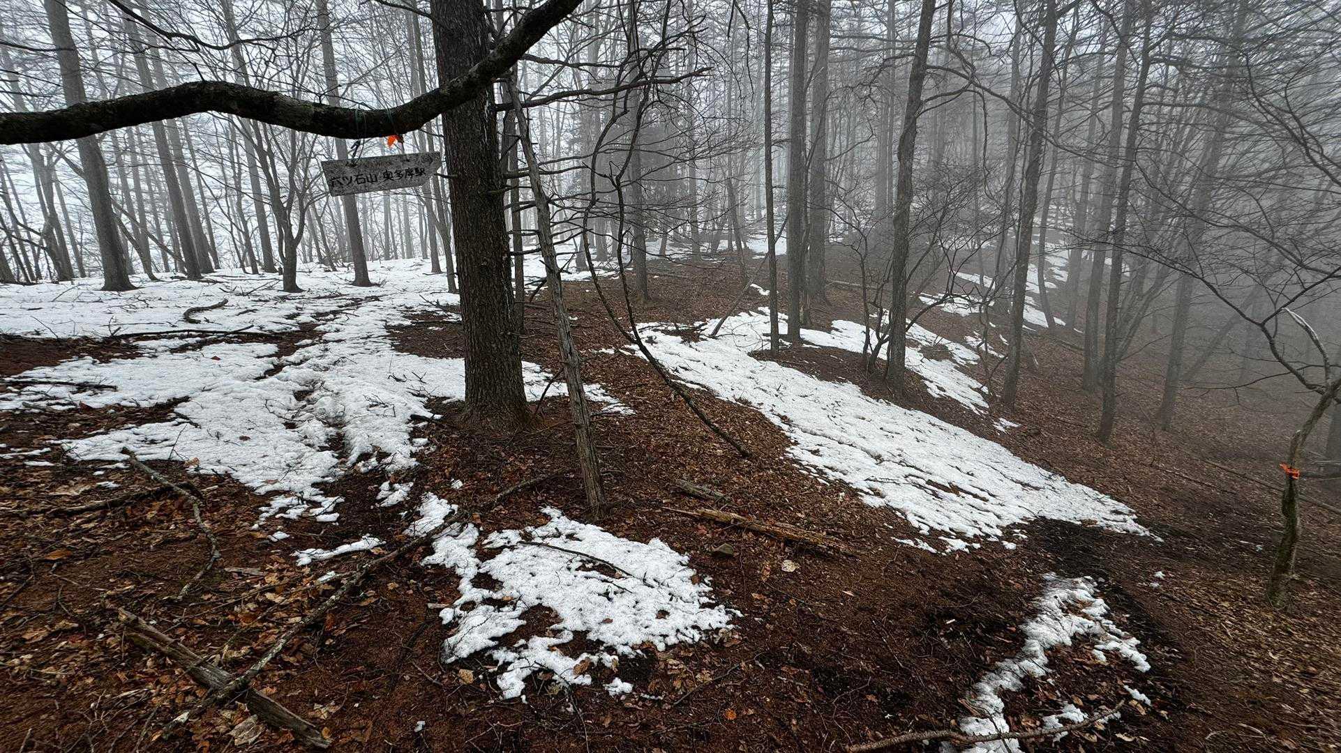 奥多摩、石尾根テン泊縦走（鴨沢〜七ツ石山〜鷹ノ巣山〜六ツ石山〜奥多摩駅） の写真 84