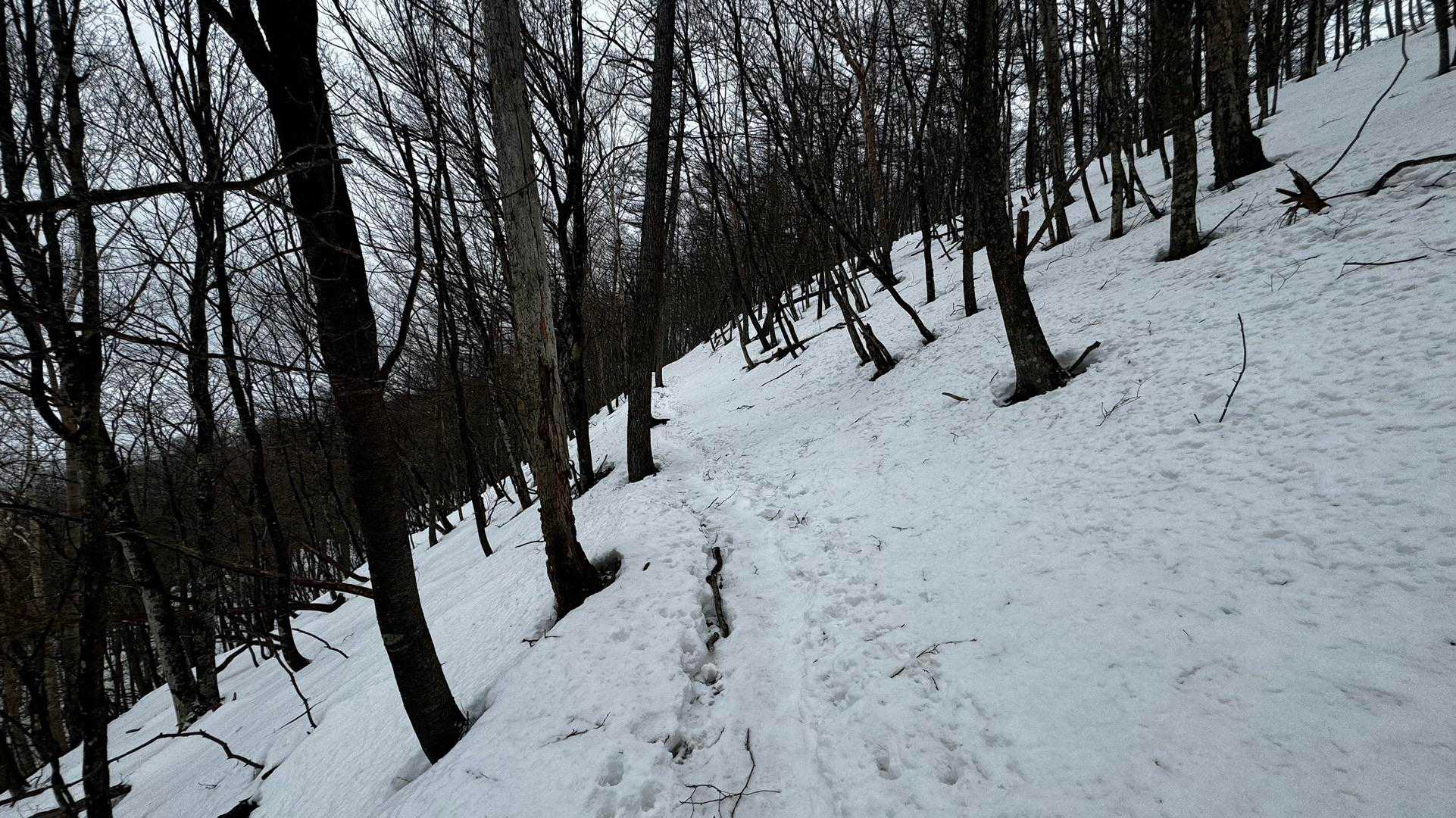 奥多摩、石尾根テン泊縦走（鴨沢〜七ツ石山〜鷹ノ巣山〜六ツ石山〜奥多摩駅） の写真 85