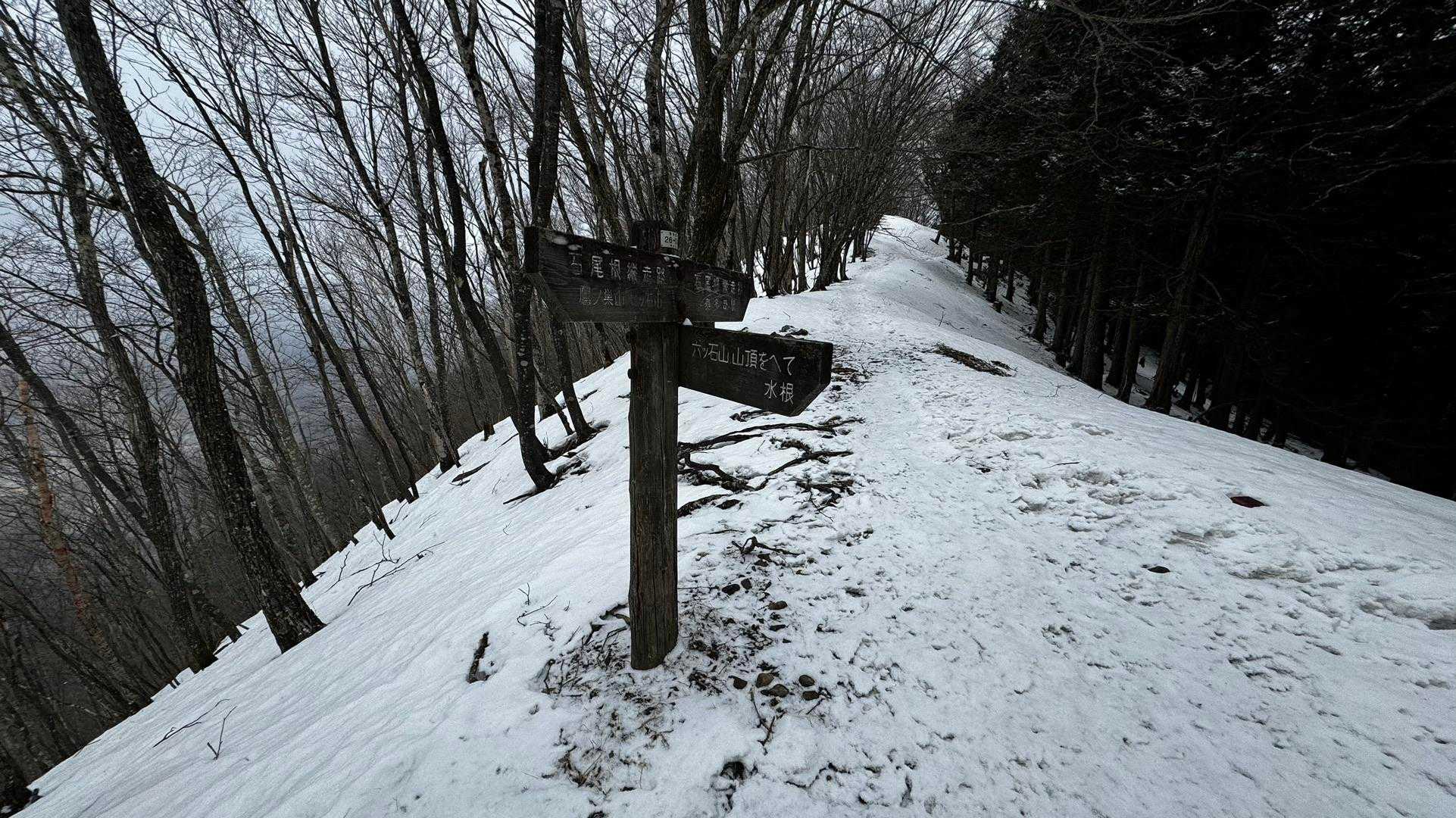 奥多摩、石尾根テン泊縦走（鴨沢〜七ツ石山〜鷹ノ巣山〜六ツ石山〜奥多摩駅） の写真 86