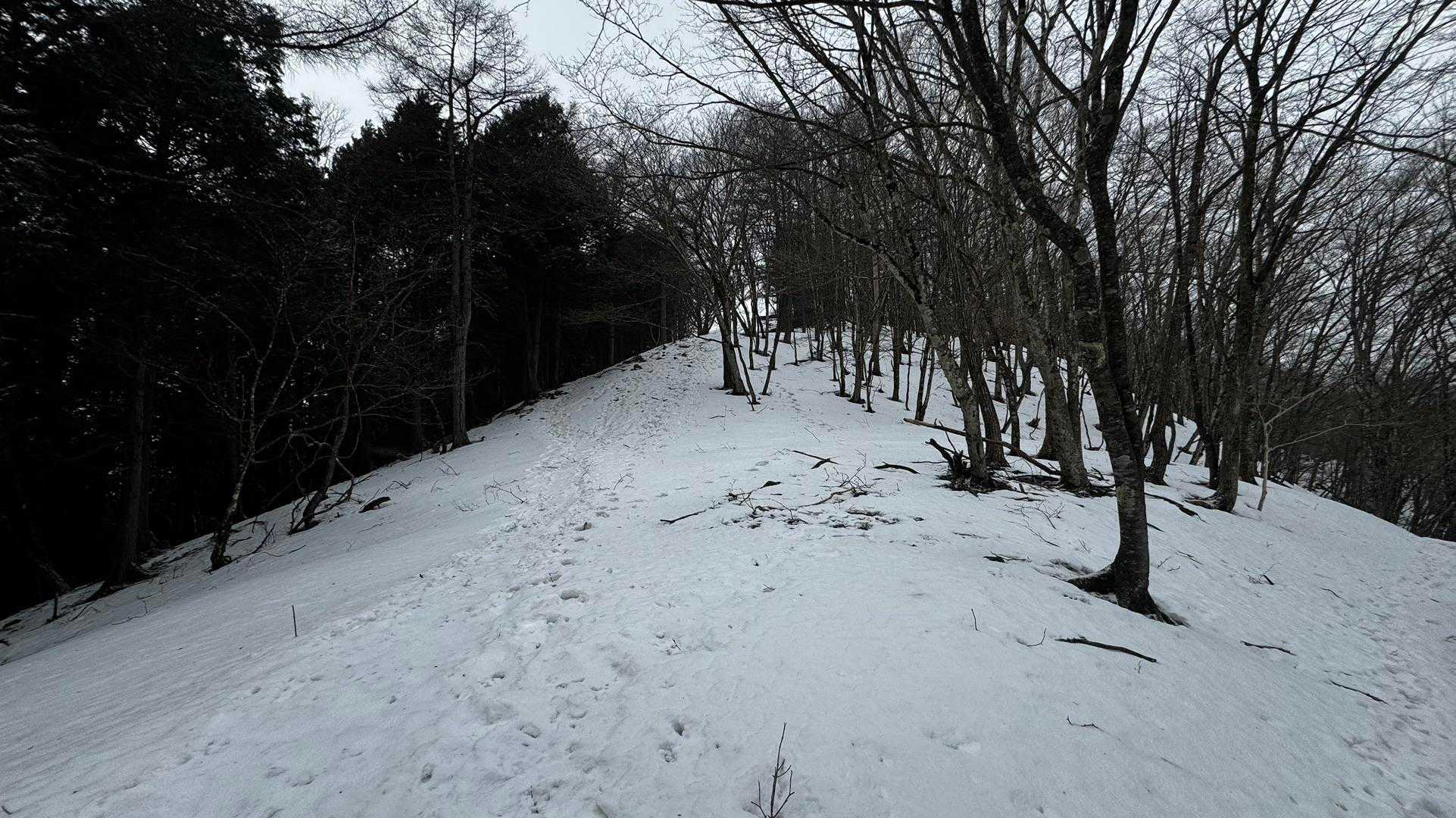 奥多摩、石尾根テン泊縦走（鴨沢〜七ツ石山〜鷹ノ巣山〜六ツ石山〜奥多摩駅） の写真 87