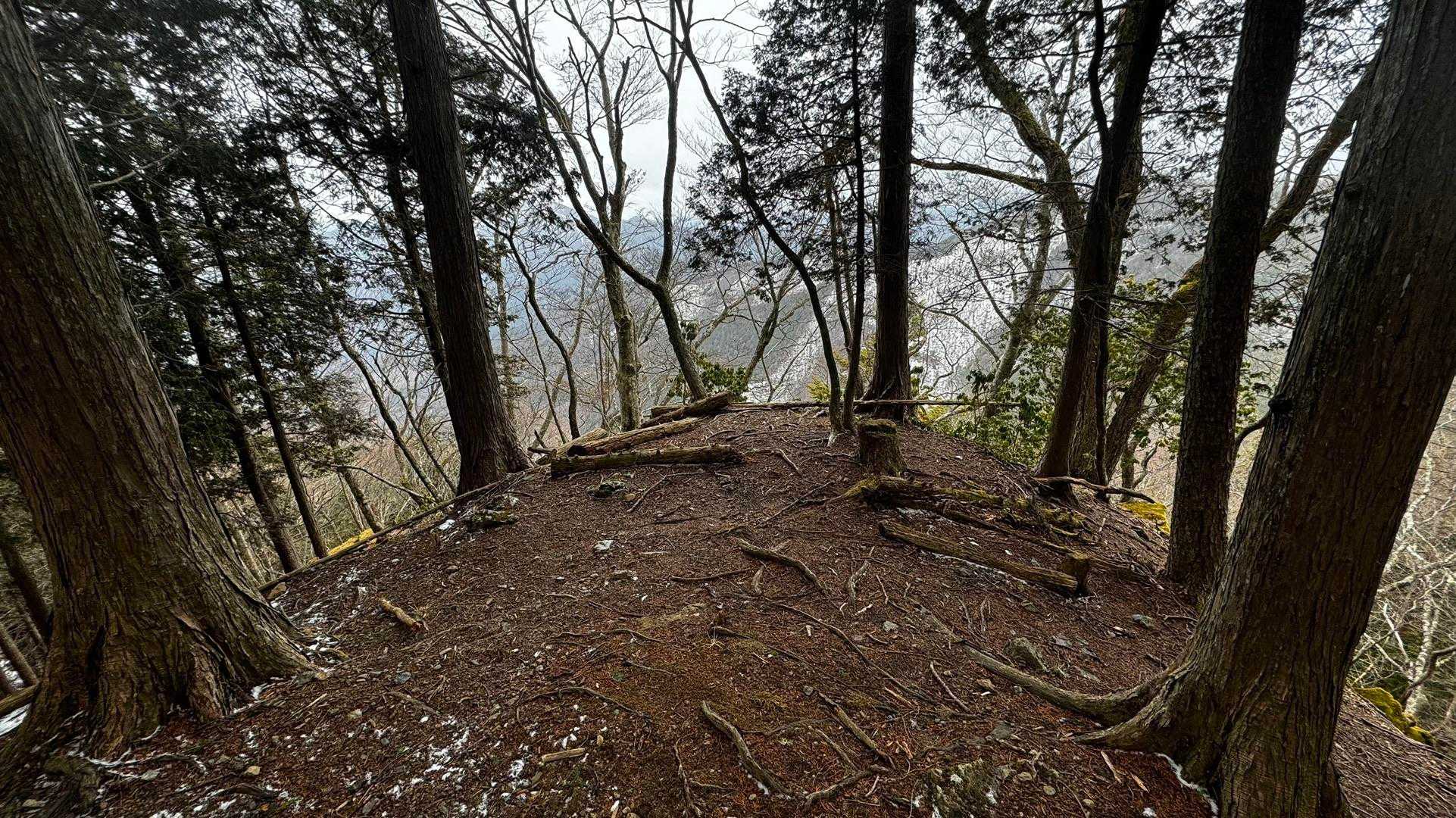 奥多摩、石尾根テン泊縦走（鴨沢〜七ツ石山〜鷹ノ巣山〜六ツ石山〜奥多摩駅） の写真 90