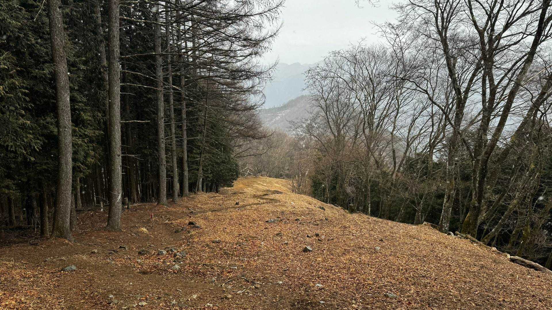 奥多摩、石尾根テン泊縦走（鴨沢〜七ツ石山〜鷹ノ巣山〜六ツ石山〜奥多摩駅） の写真 91