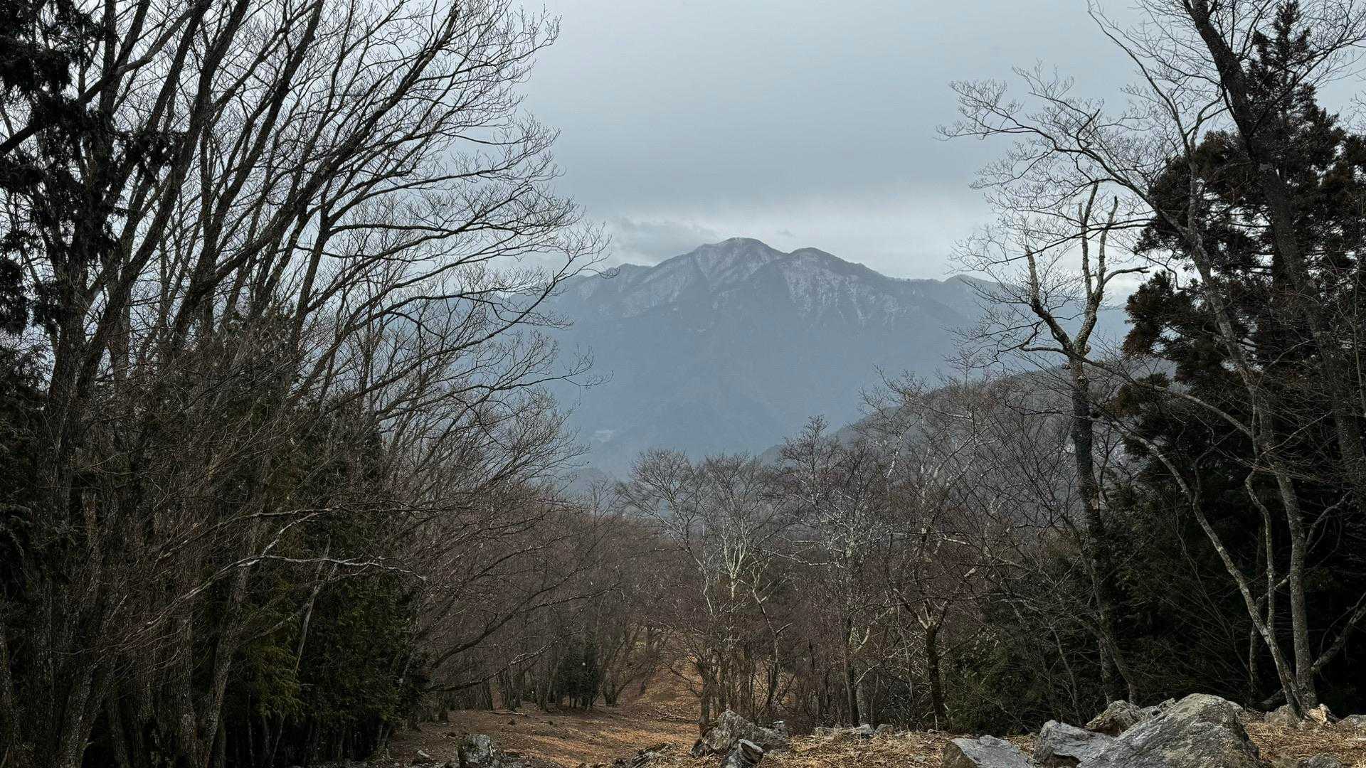 奥多摩、石尾根テン泊縦走（鴨沢〜七ツ石山〜鷹ノ巣山〜六ツ石山〜奥多摩駅） の写真 92