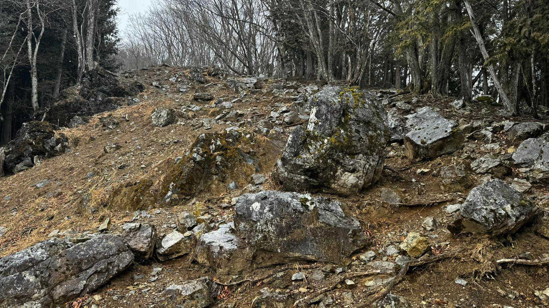 奥多摩、石尾根テン泊縦走（鴨沢〜七ツ石山〜鷹ノ巣山〜六ツ石山〜奥多摩駅） の写真 93