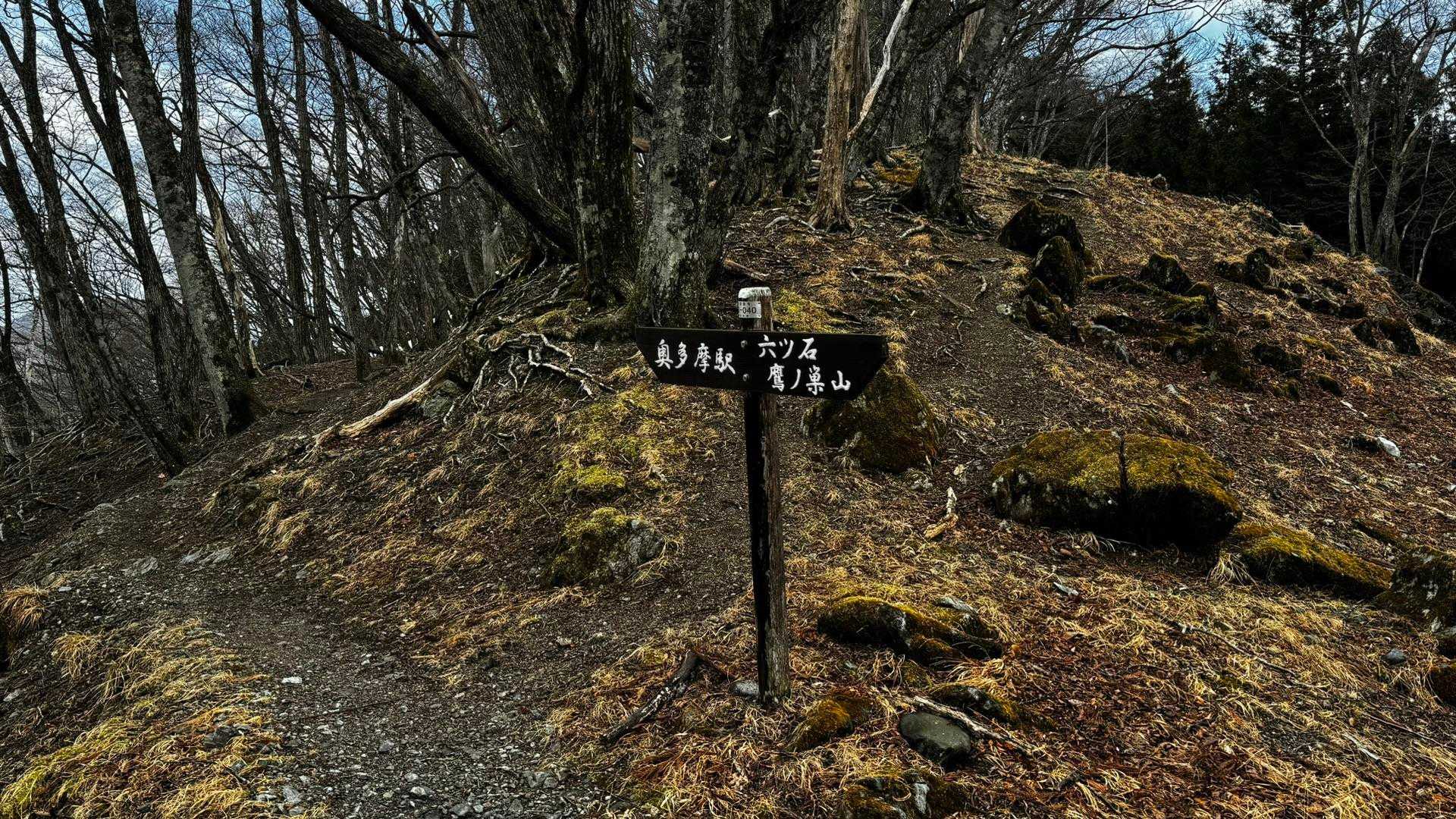 奥多摩、石尾根テン泊縦走（鴨沢〜七ツ石山〜鷹ノ巣山〜六ツ石山〜奥多摩駅） の写真 97