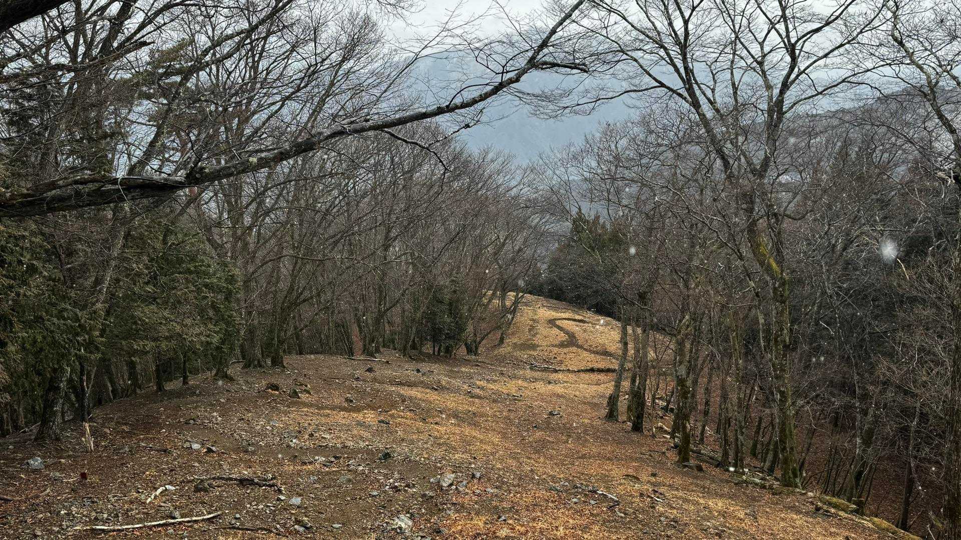 奥多摩、石尾根テン泊縦走（鴨沢〜七ツ石山〜鷹ノ巣山〜六ツ石山〜奥多摩駅） の写真 94