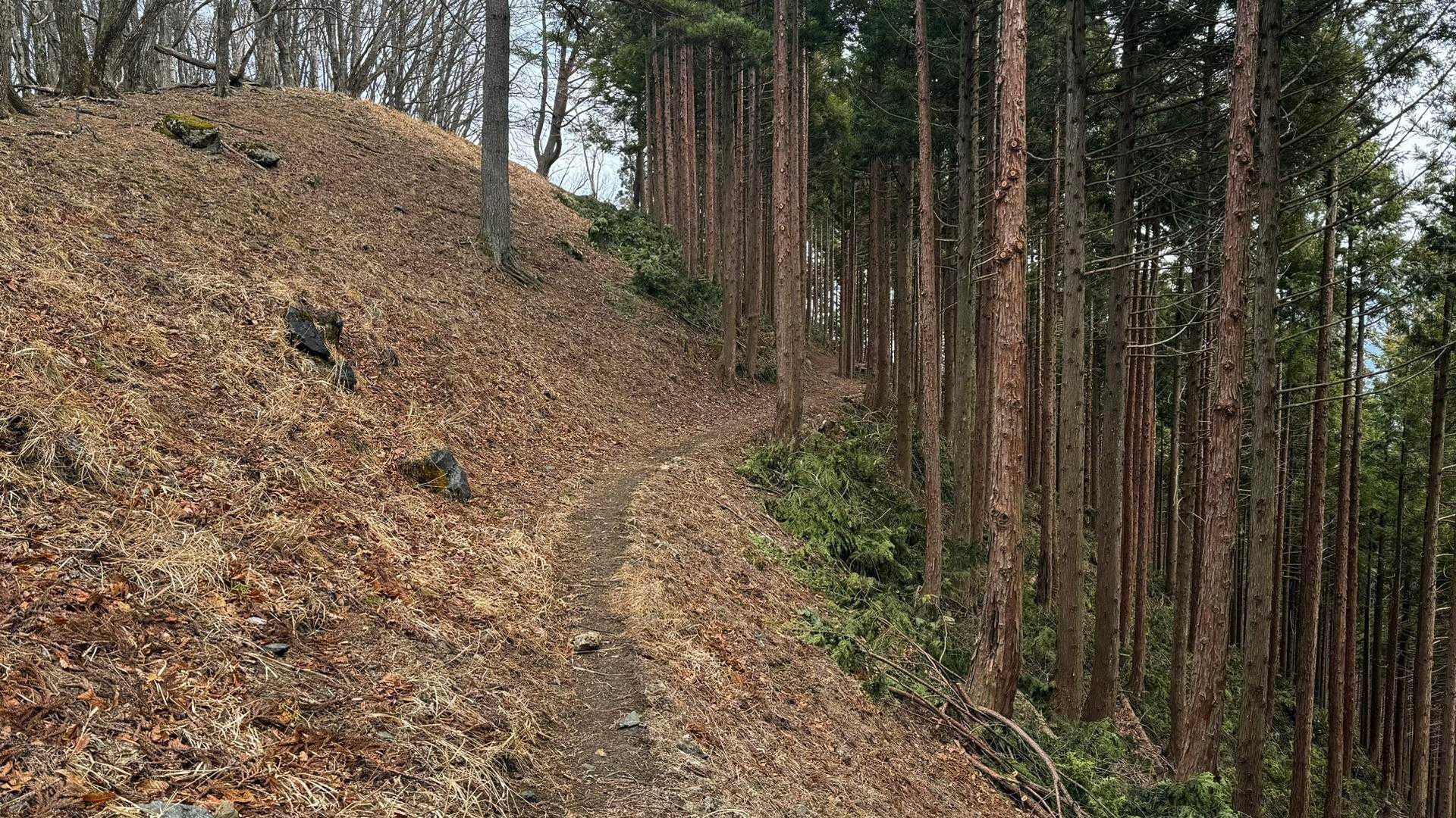 奥多摩、石尾根テン泊縦走（鴨沢〜七ツ石山〜鷹ノ巣山〜六ツ石山〜奥多摩駅） の写真 96