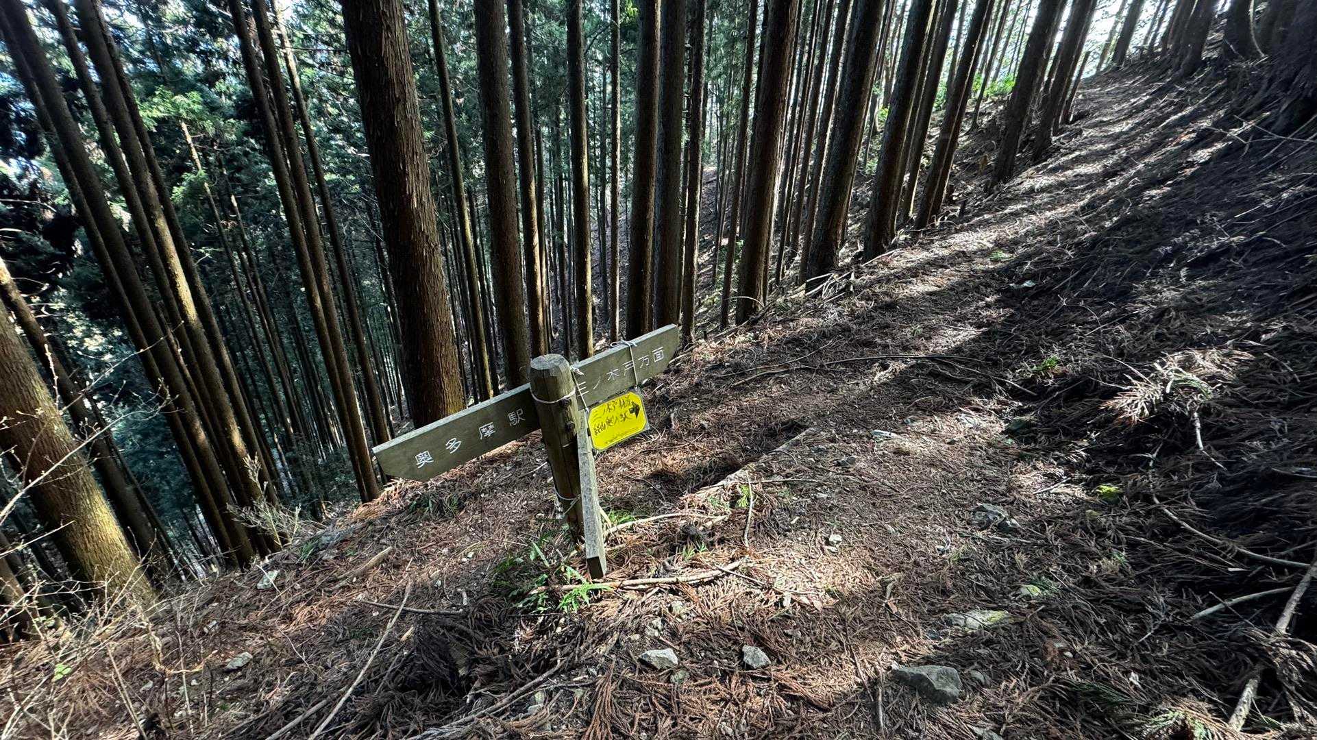奥多摩、石尾根テン泊縦走（鴨沢〜七ツ石山〜鷹ノ巣山〜六ツ石山〜奥多摩駅） の写真 101