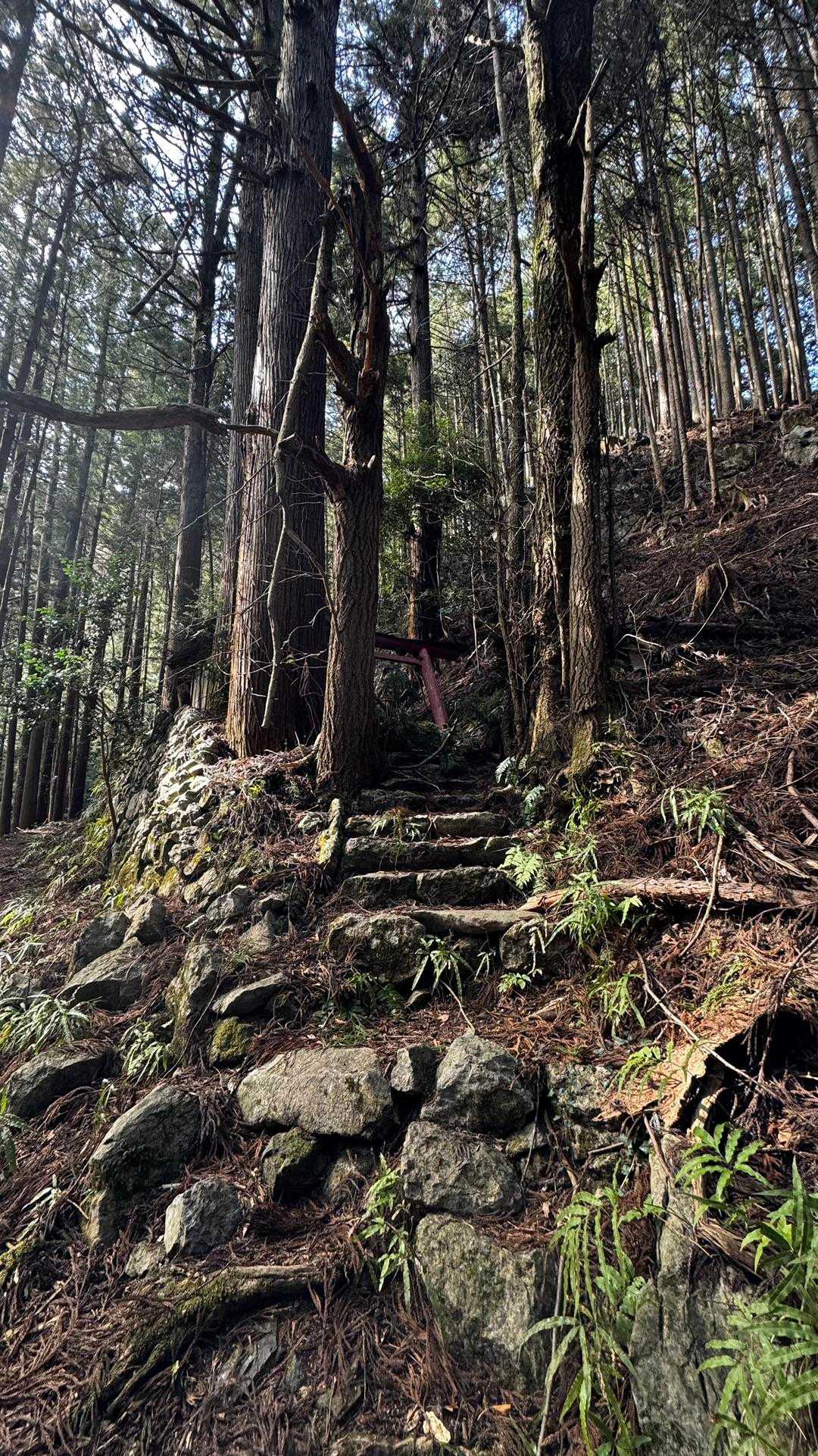 奥多摩、石尾根テン泊縦走（鴨沢〜七ツ石山〜鷹ノ巣山〜六ツ石山〜奥多摩駅） の写真 103