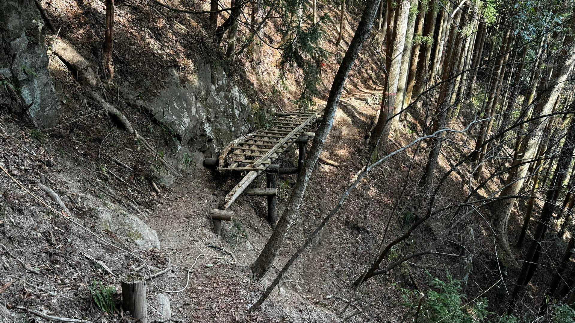 奥多摩、石尾根テン泊縦走（鴨沢〜七ツ石山〜鷹ノ巣山〜六ツ石山〜奥多摩駅） の写真 102