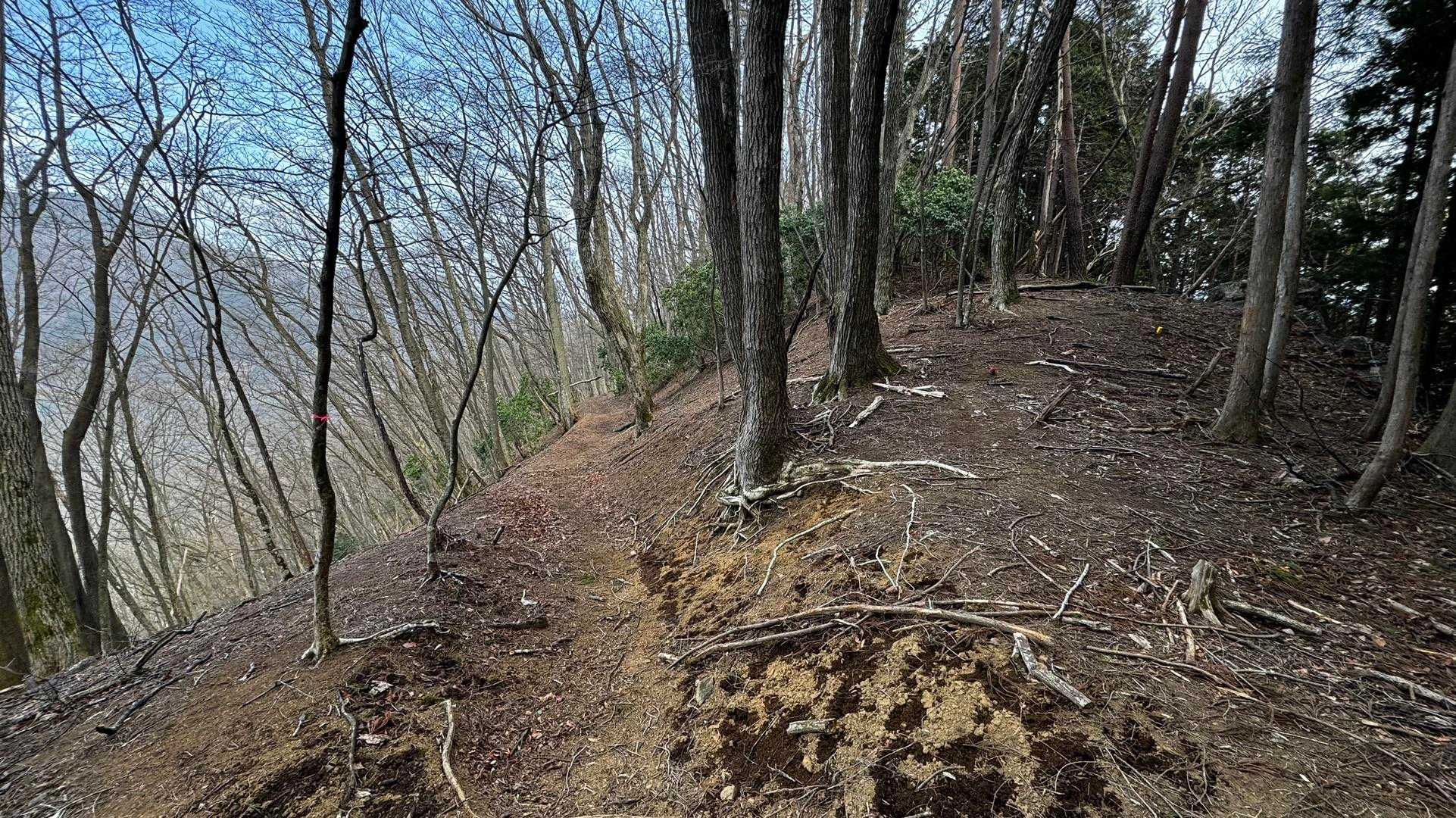 奥多摩、石尾根テン泊縦走（鴨沢〜七ツ石山〜鷹ノ巣山〜六ツ石山〜奥多摩駅） の写真 100
