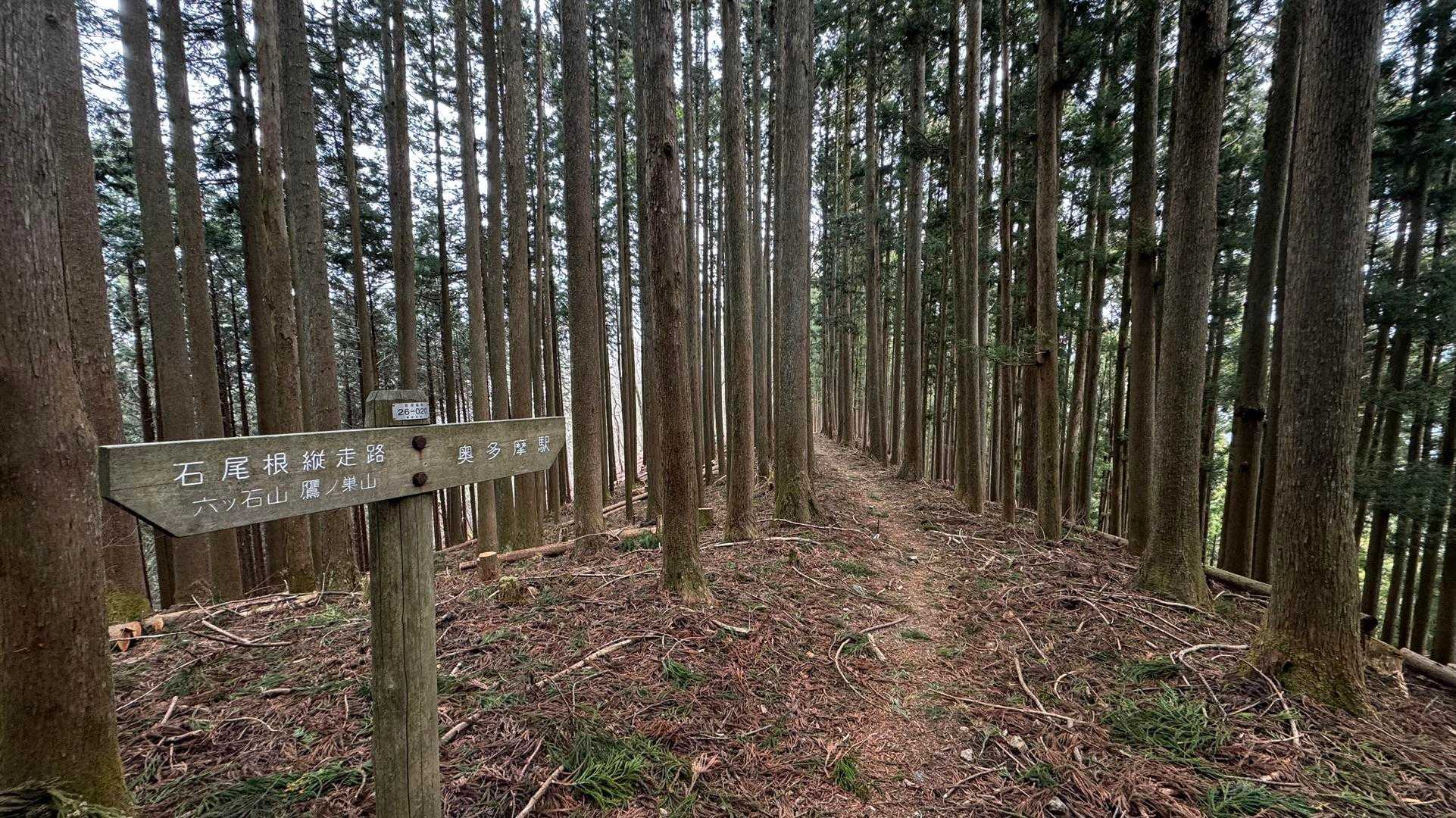 奥多摩、石尾根テン泊縦走（鴨沢〜七ツ石山〜鷹ノ巣山〜六ツ石山〜奥多摩駅） の写真 99