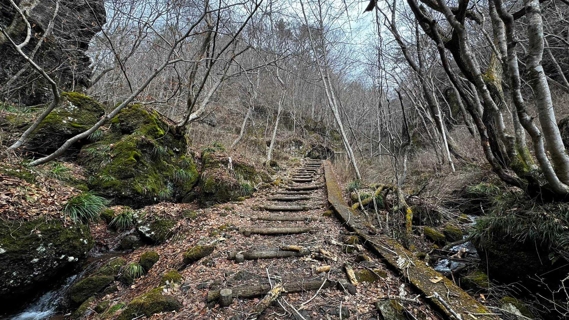 霊山 の写真 2