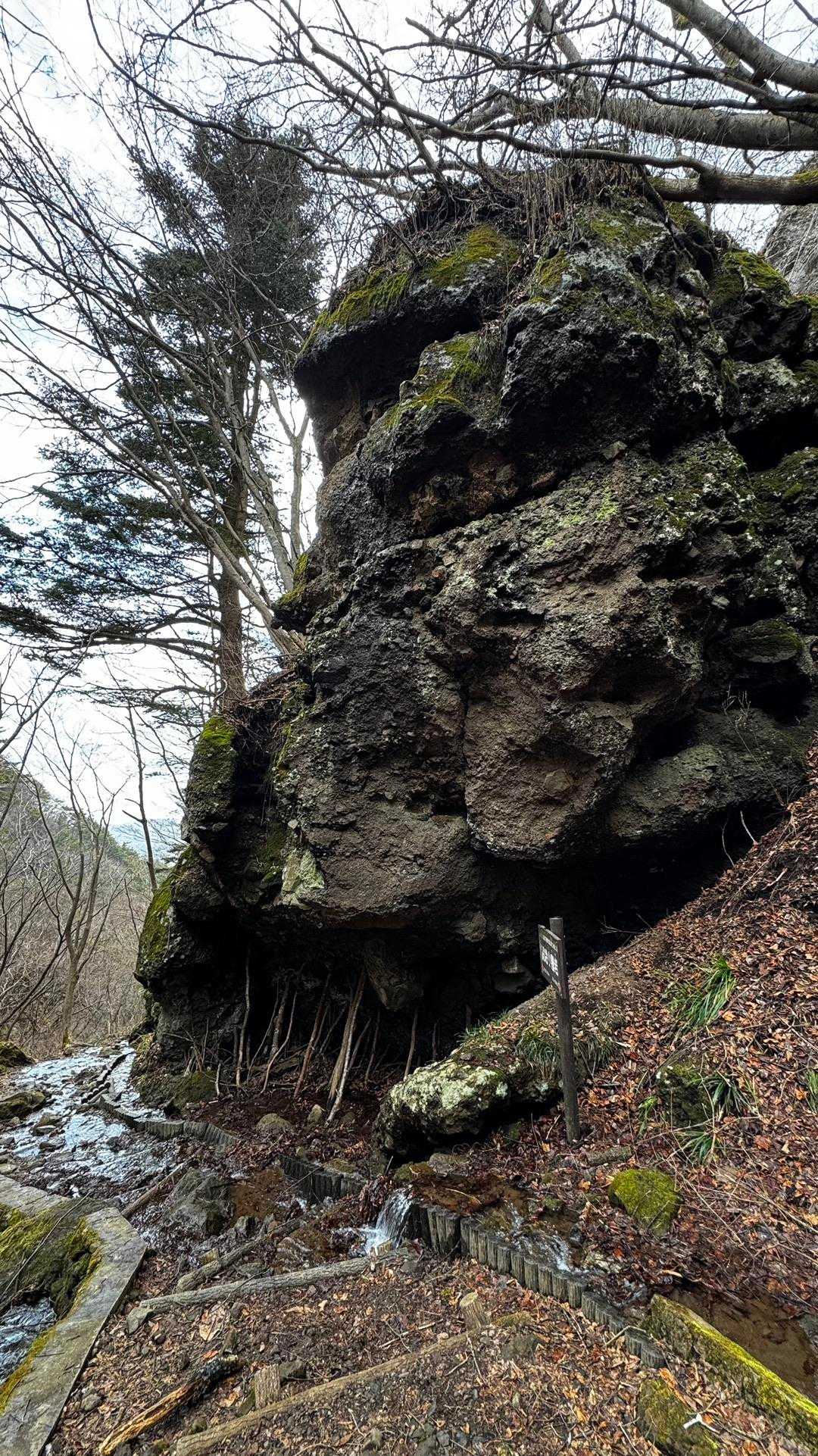 霊山 の写真 3