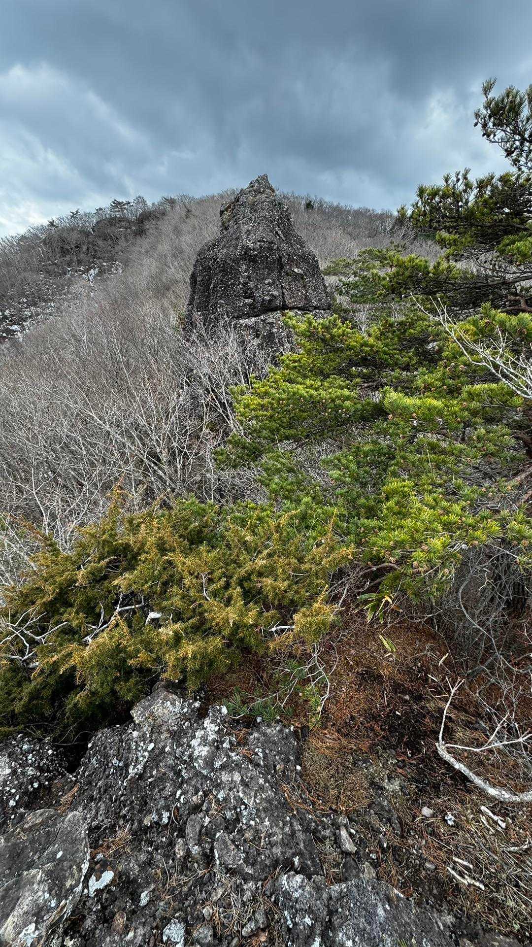 霊山 の写真 31