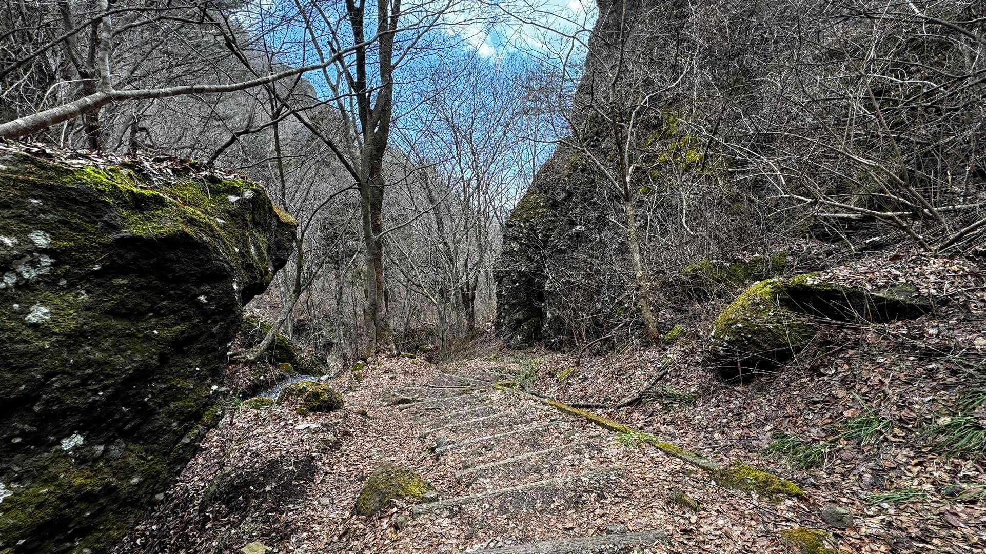 霊山 の写真 44