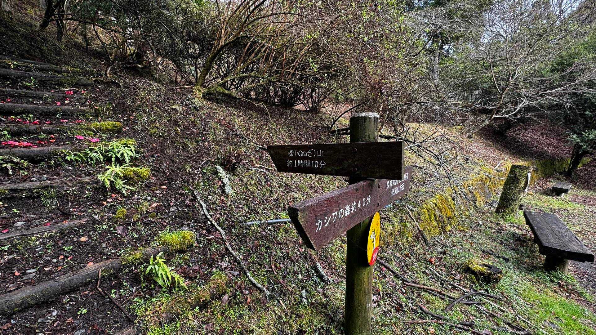 鍋割山・塔ノ岳・烏尾山縦走 の写真 2